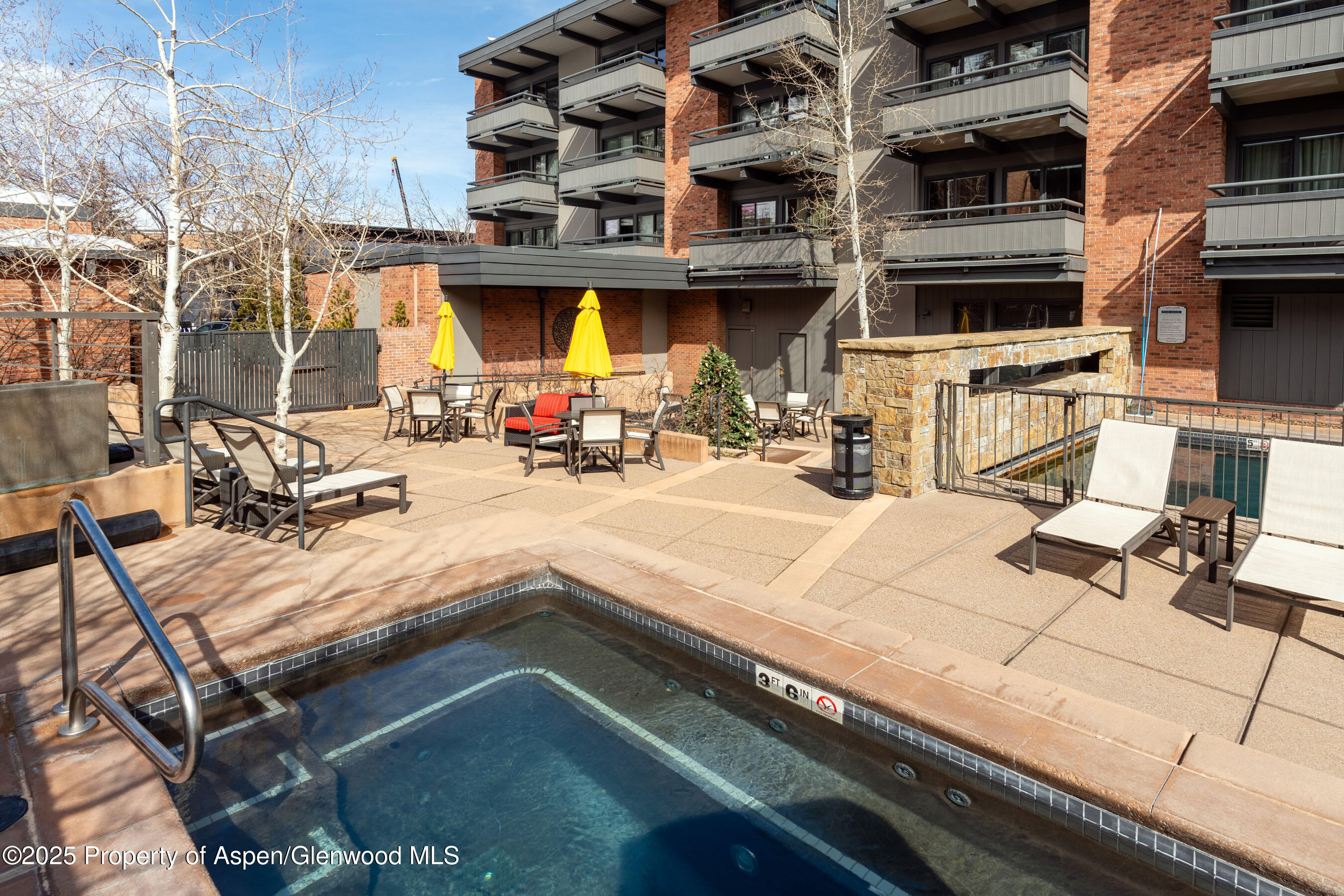 617 E Cooper Avenue Aspen CO 81611