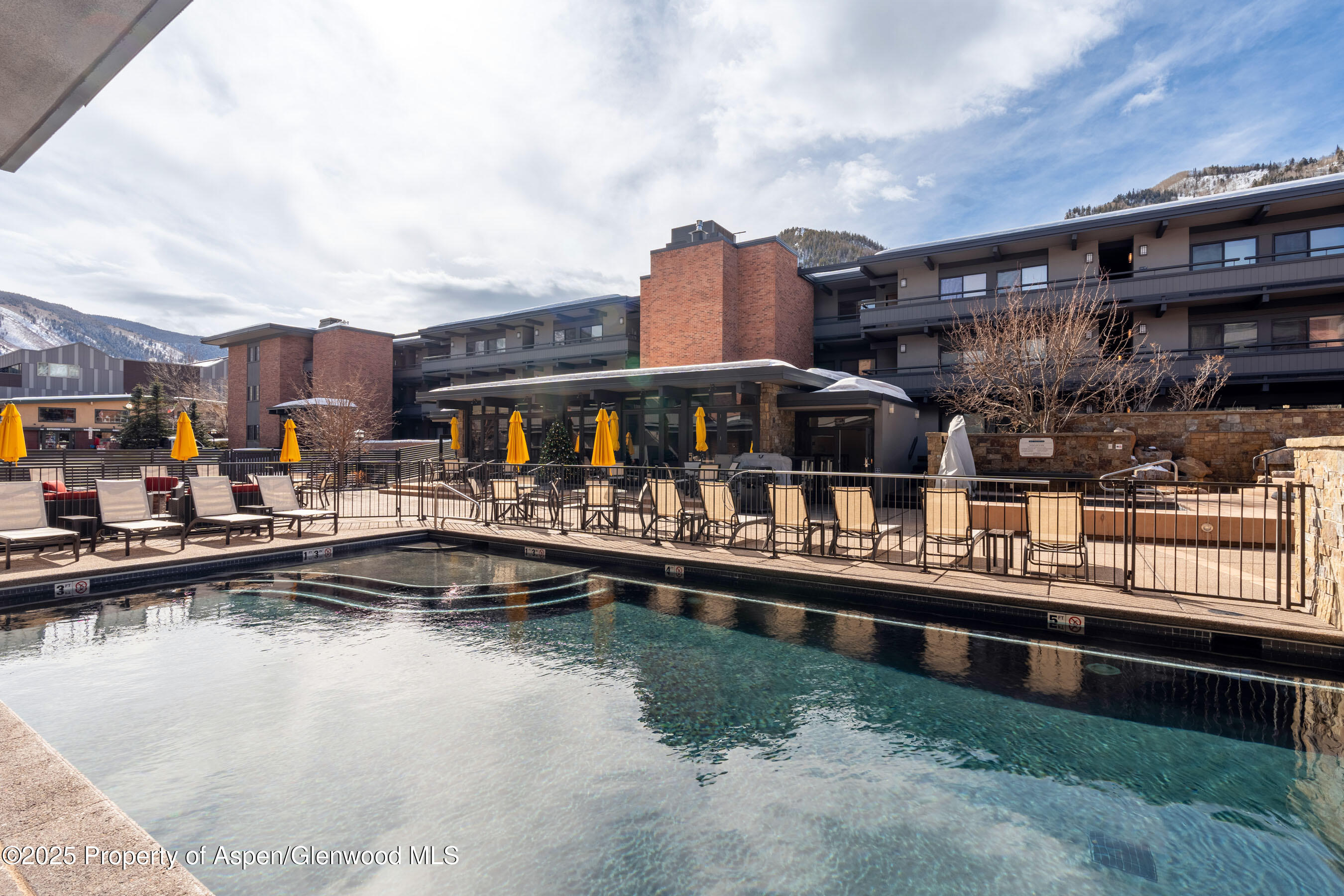 617 E Cooper Avenue Aspen CO 81611