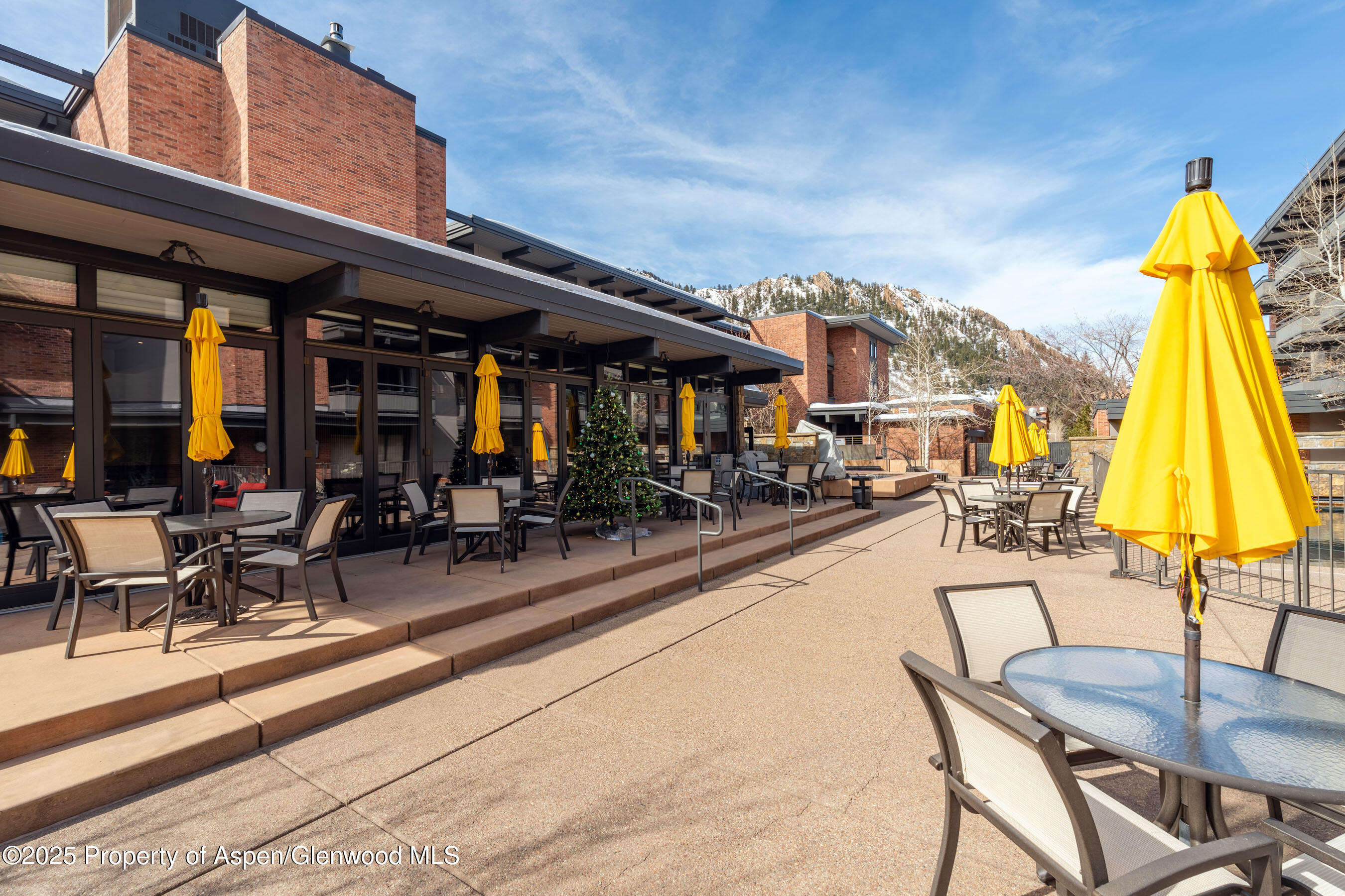 617 E Cooper Avenue Aspen CO 81611