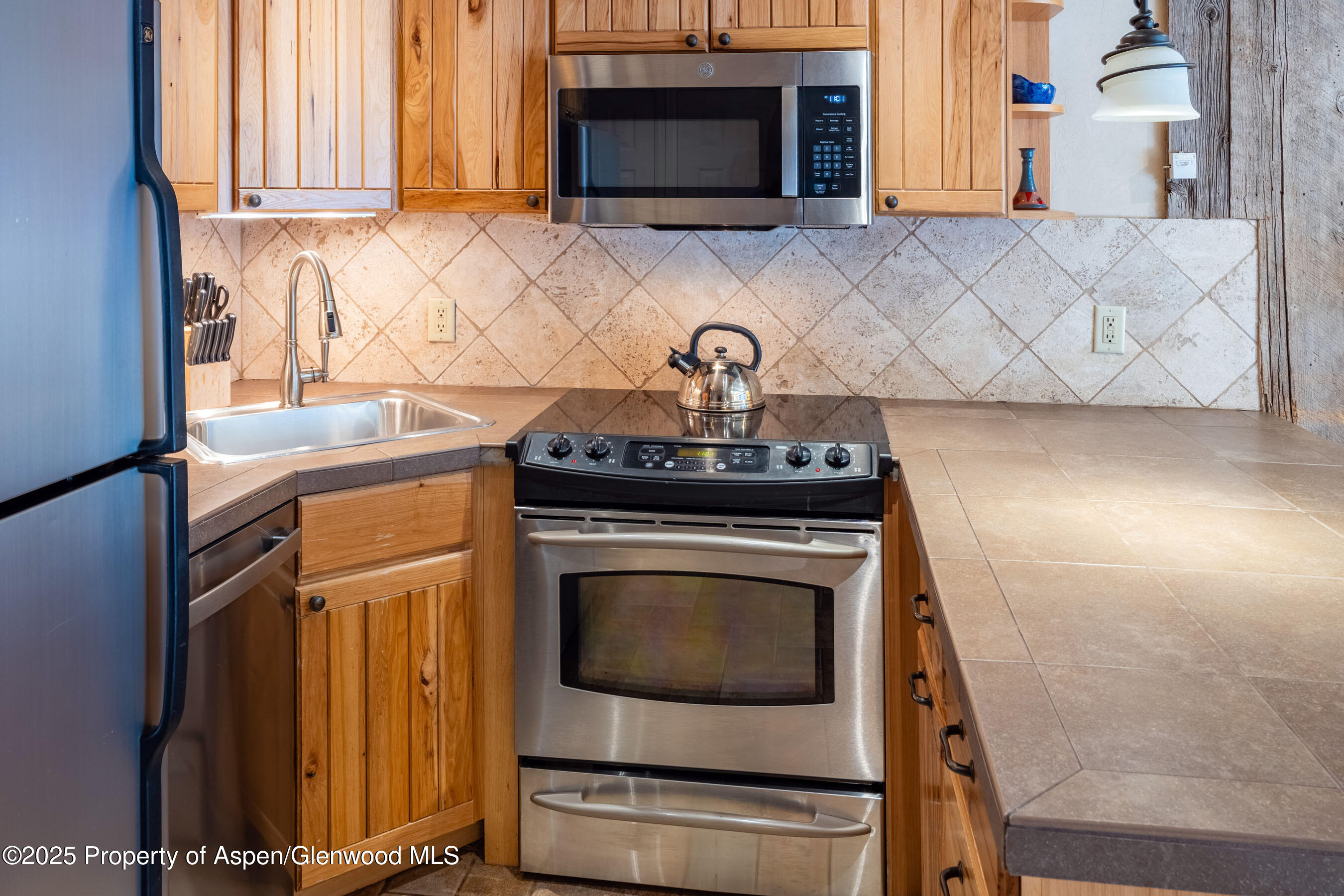 617 E Cooper Avenue Aspen CO 81611