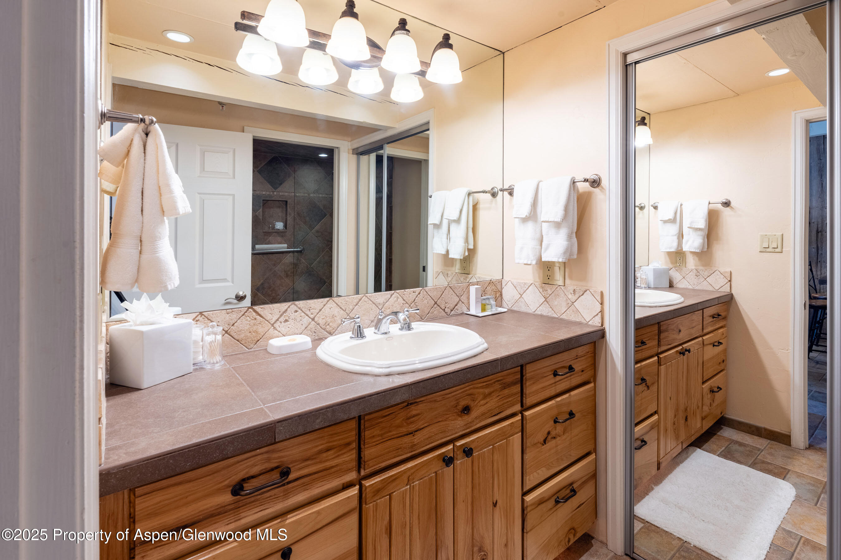 617 E Cooper Avenue Aspen CO 81611