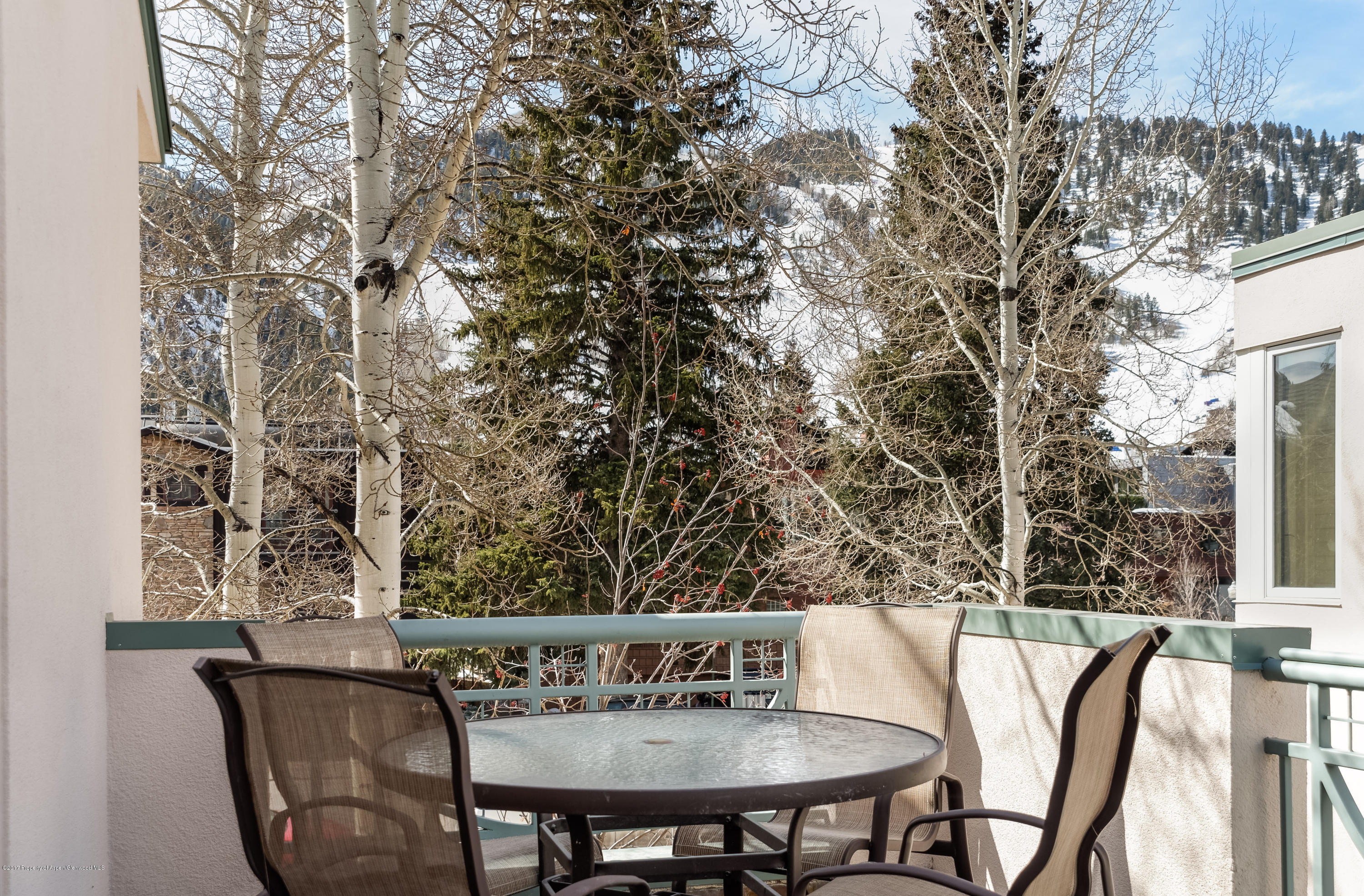 710 E Hopkins Avenue Aspen CO 81611