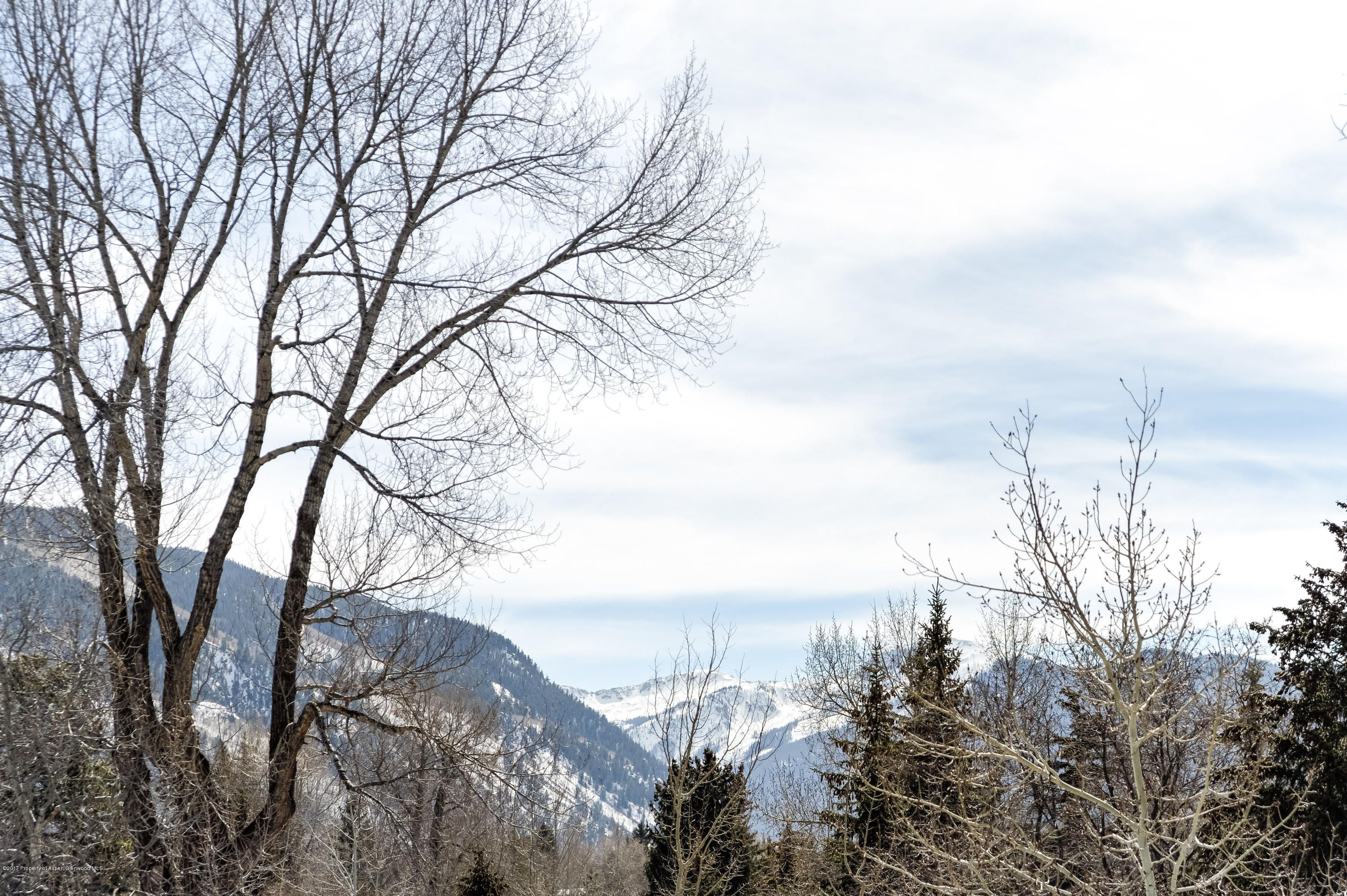 710 E Hopkins Avenue Aspen CO 81611