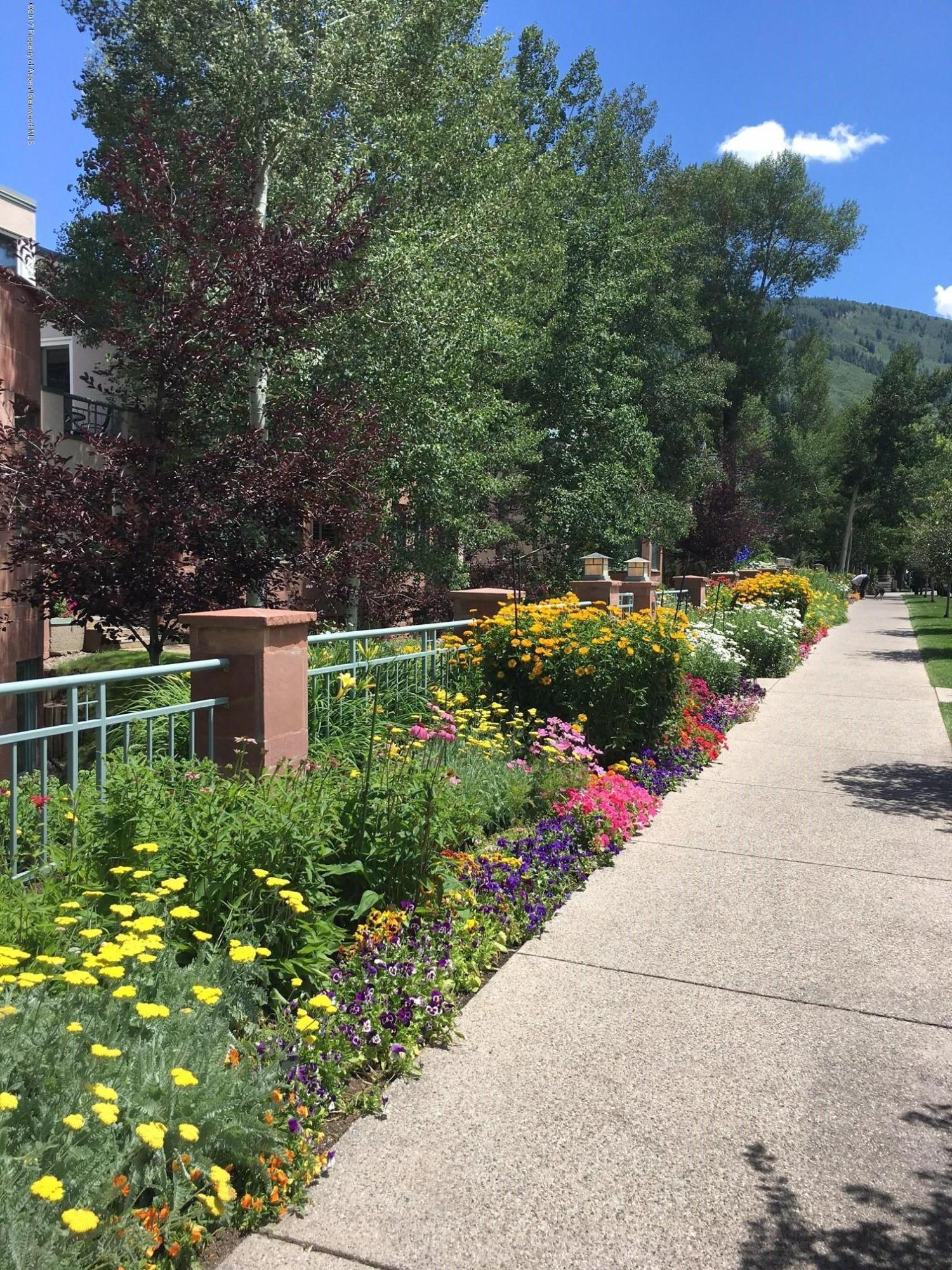 710 E Hopkins Avenue Aspen CO 81611
