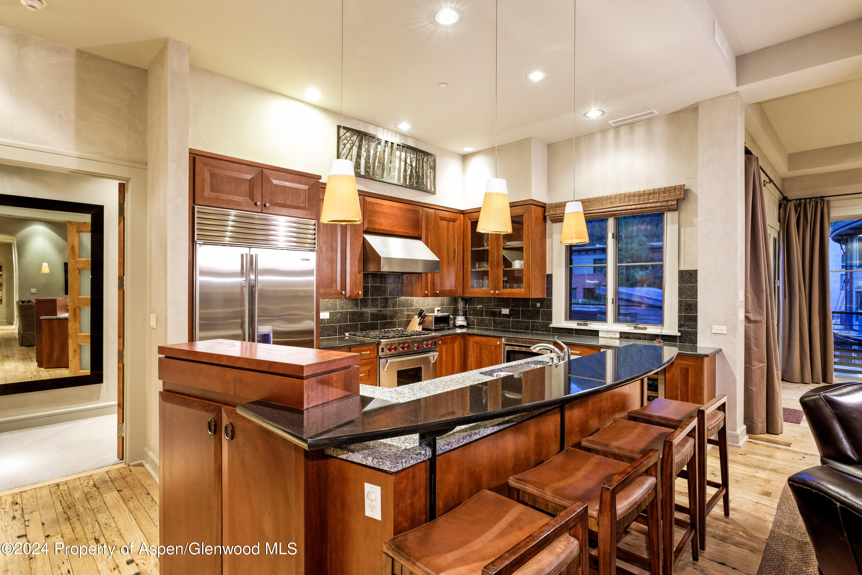 501 Rio Grande Place Aspen CO 81611