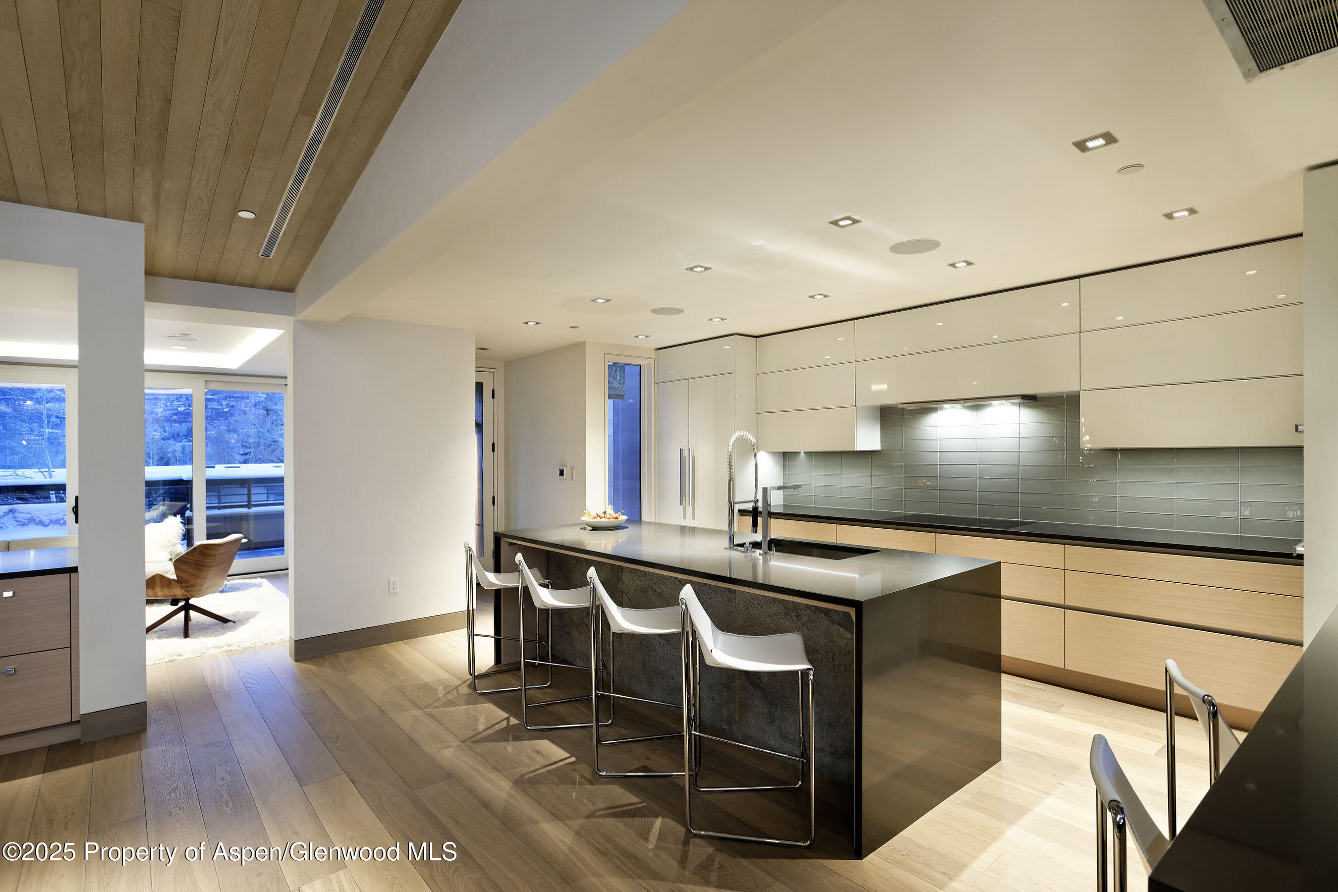 126 Juan Street Aspen CO 81611