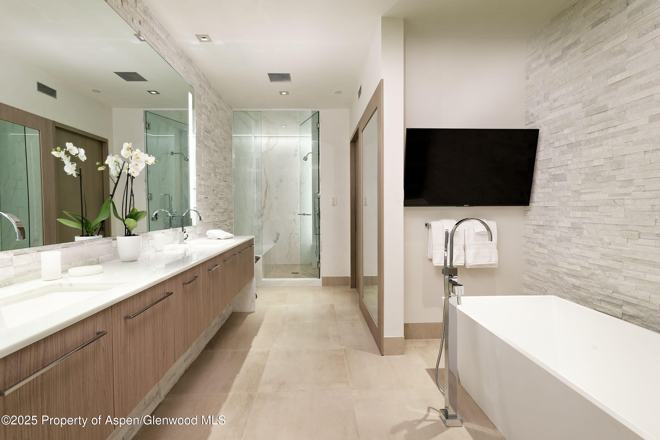 126 Juan Street Aspen CO 81611