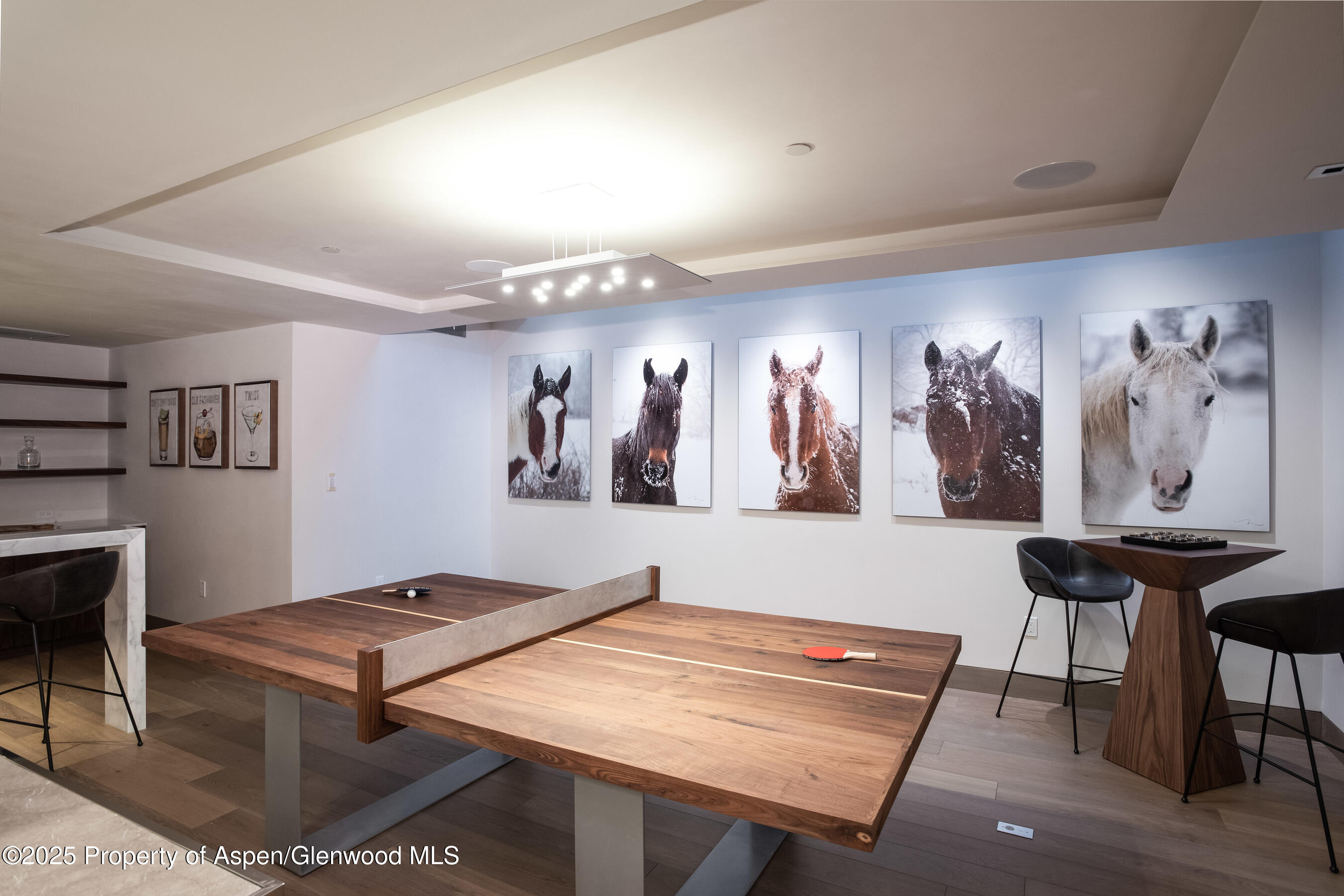 126 Juan Street Aspen CO 81611