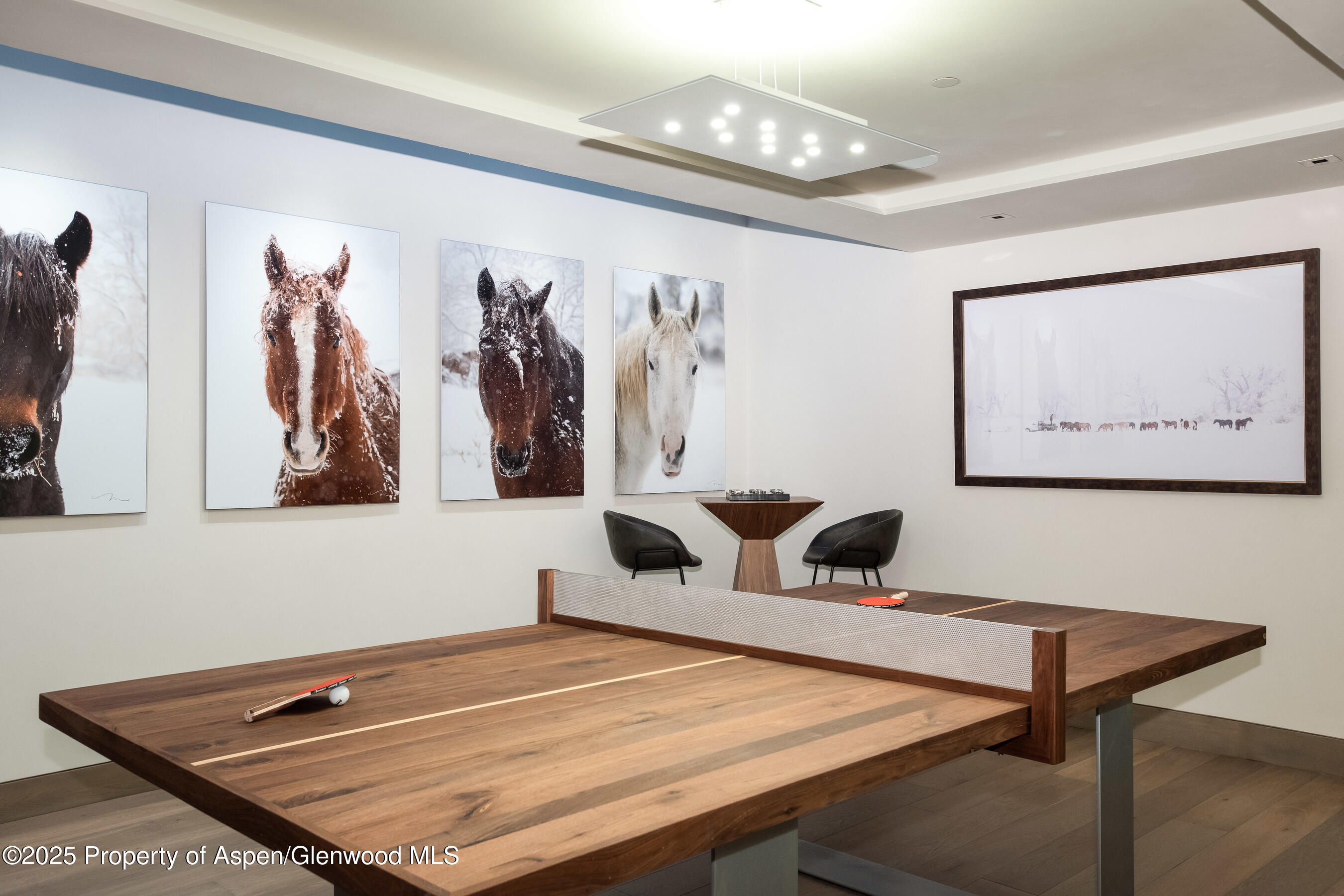 126 Juan Street Aspen CO 81611