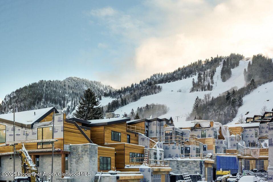 126 Juan Street Aspen CO 81611