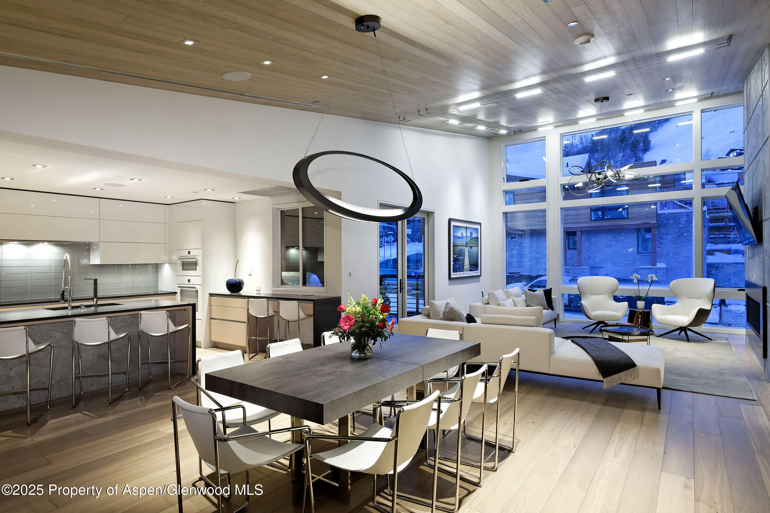 126 Juan Street Aspen CO 81611