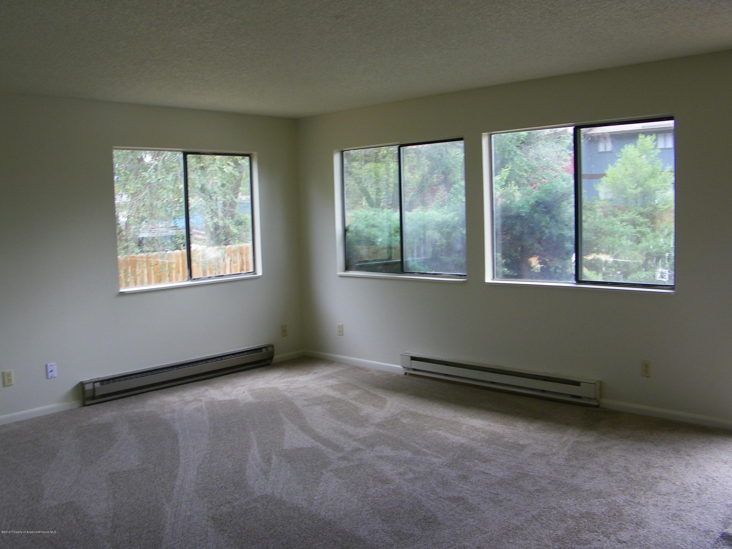 879 Colorado Avenue Carbondale CO 81623
