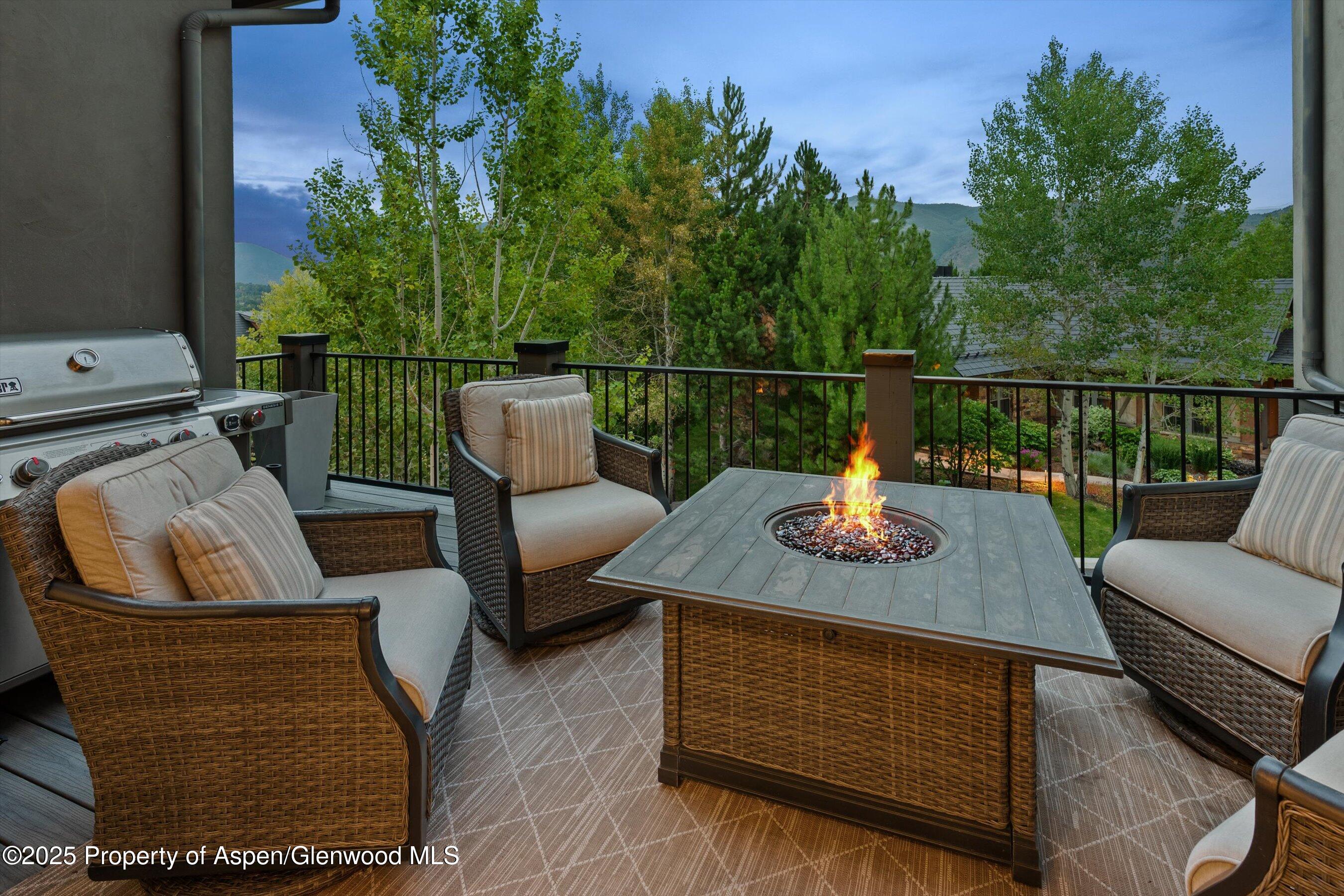 753 Promontory Lane Basalt CO 81621