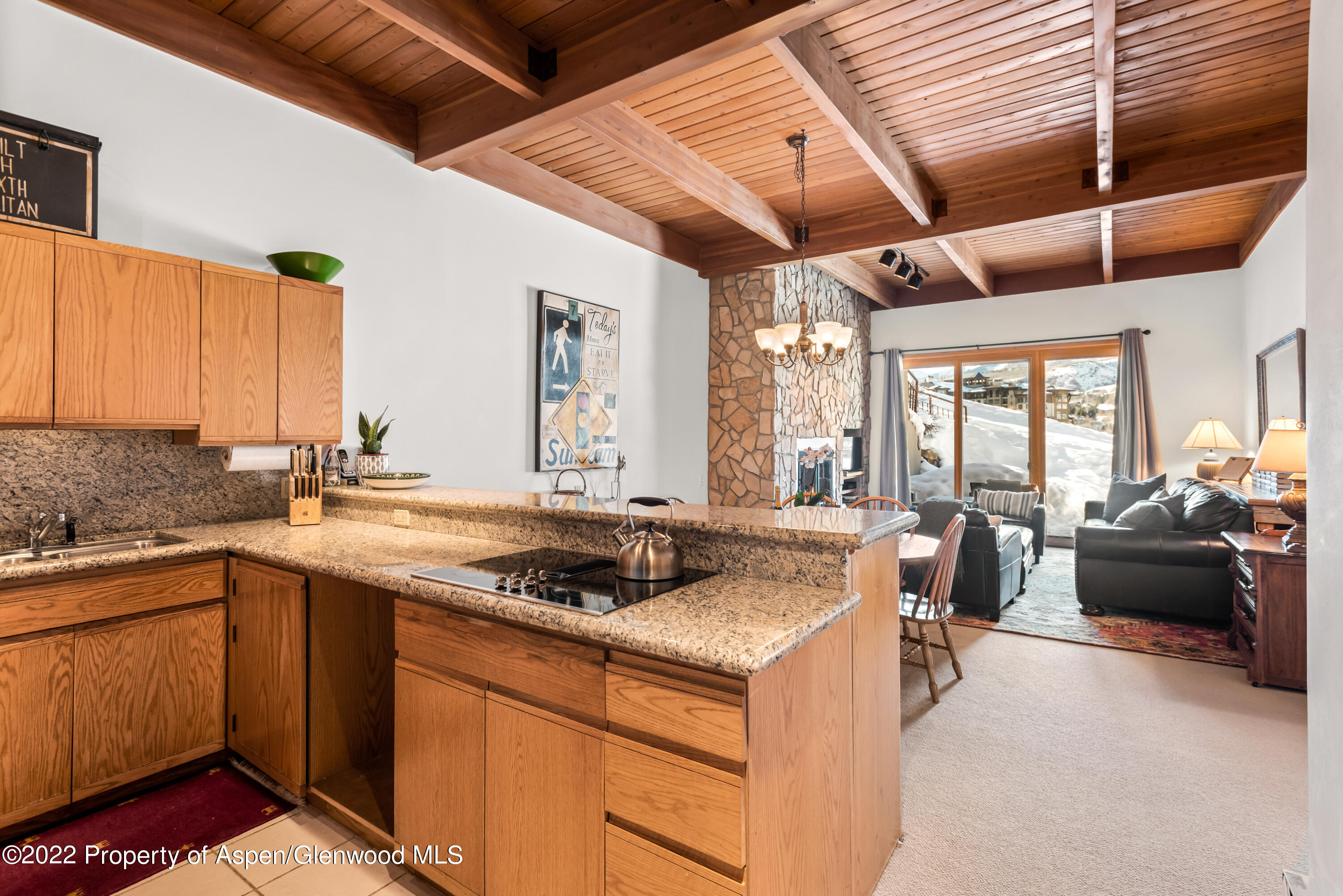 810 Ridge Road Snowmass Village CO 81615