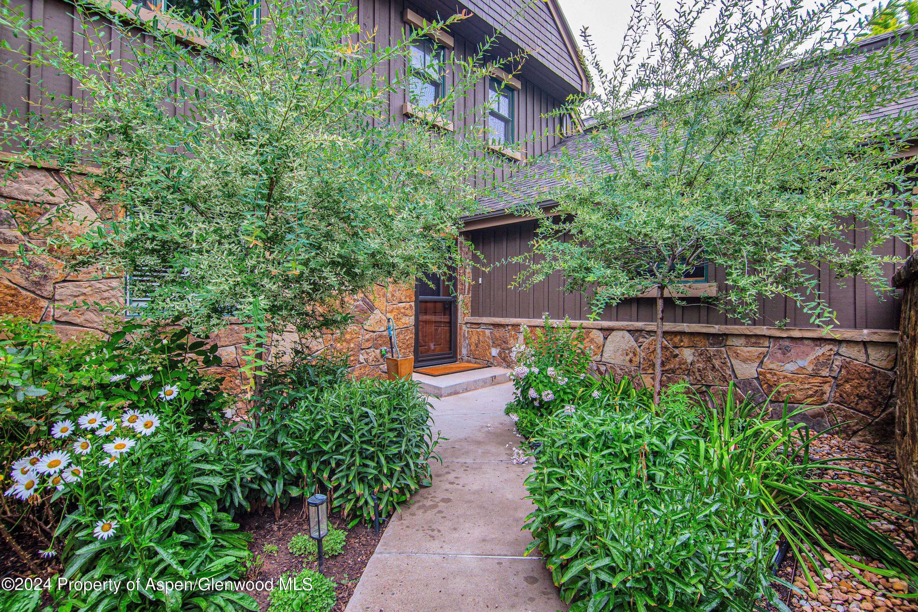 112 Golden Bear Drive Carbondale CO 81623