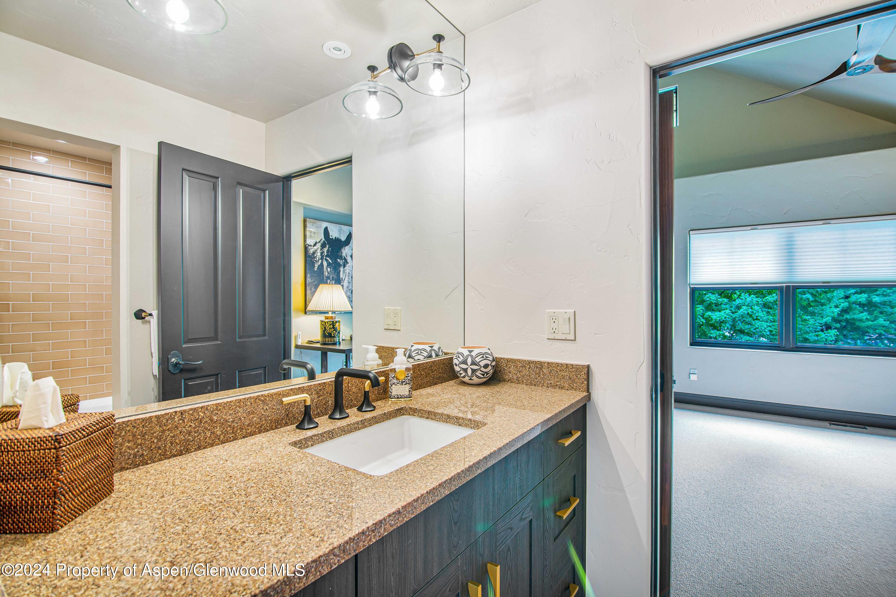 112 Golden Bear Drive Carbondale CO 81623