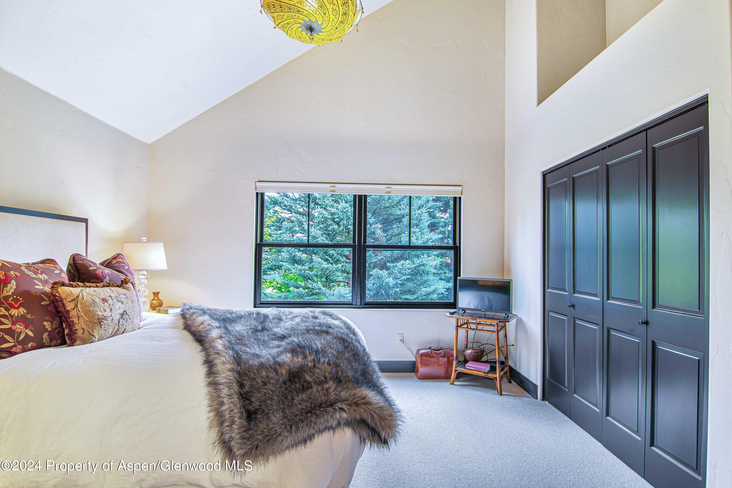 112 Golden Bear Drive Carbondale CO 81623