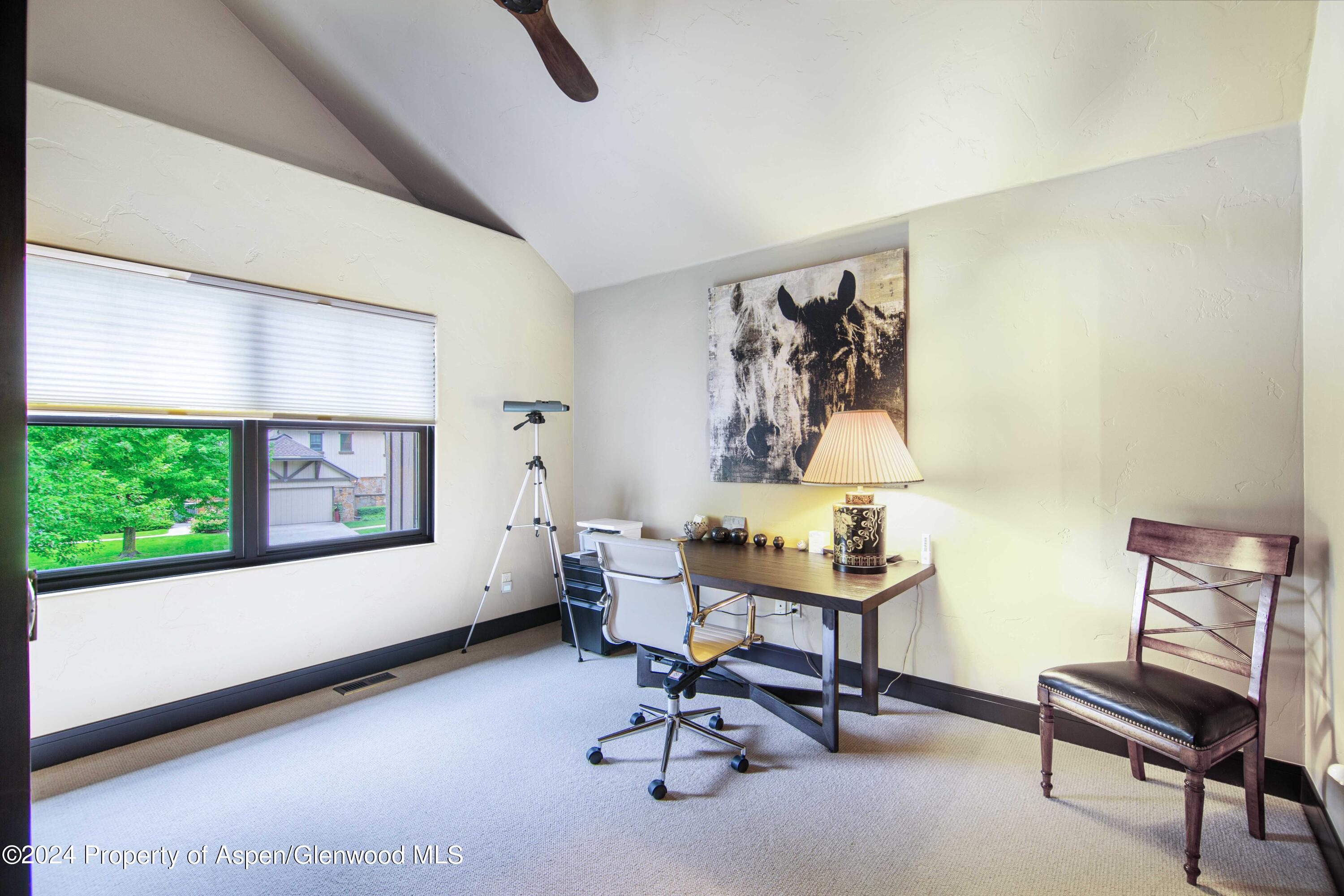 112 Golden Bear Drive Carbondale CO 81623