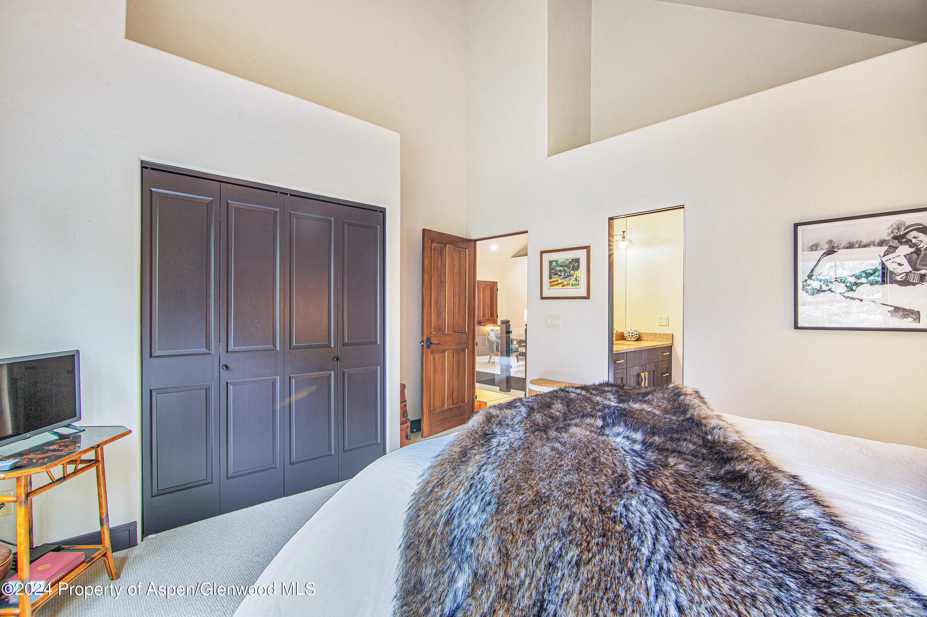 112 Golden Bear Drive Carbondale CO 81623