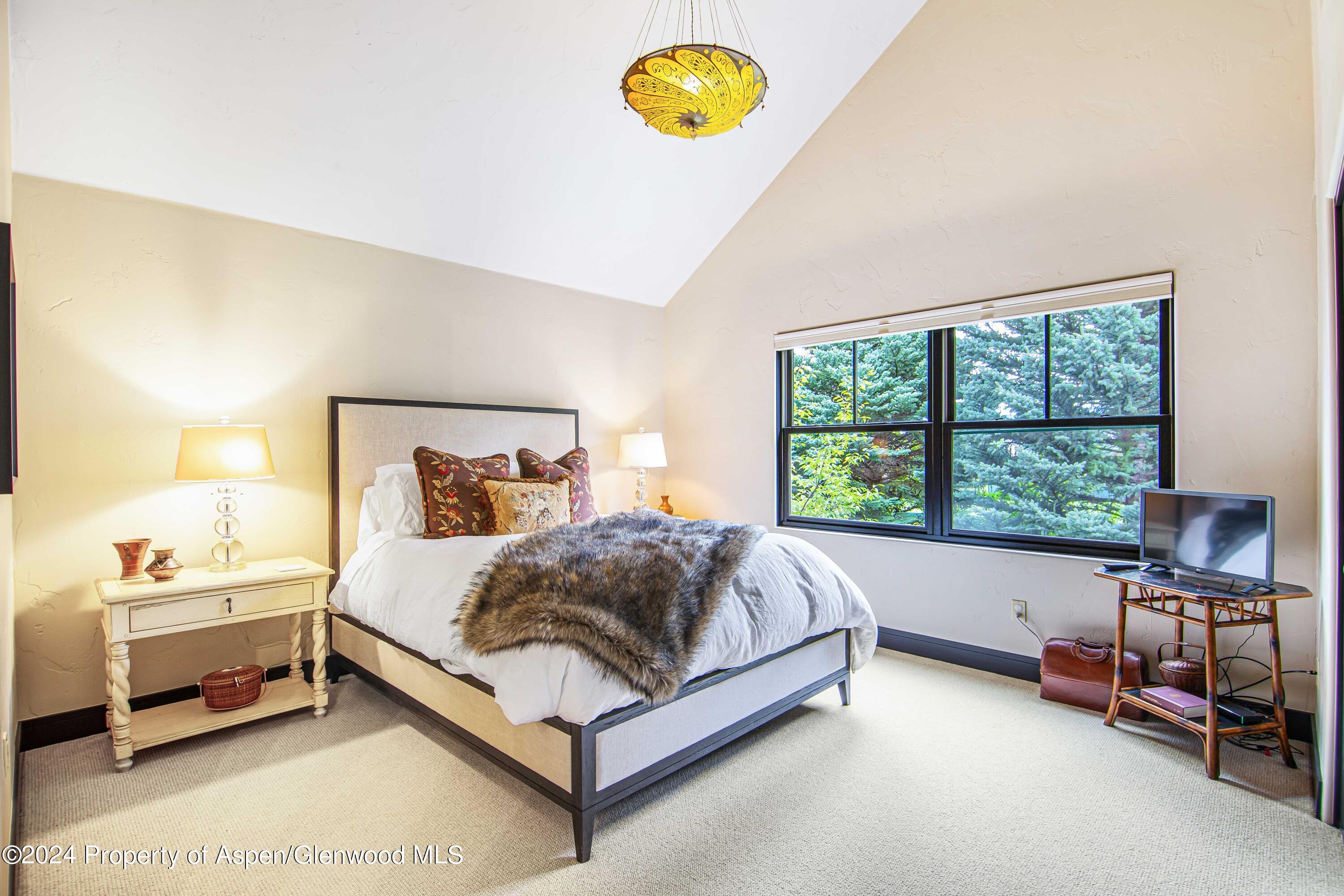 112 Golden Bear Drive Carbondale CO 81623