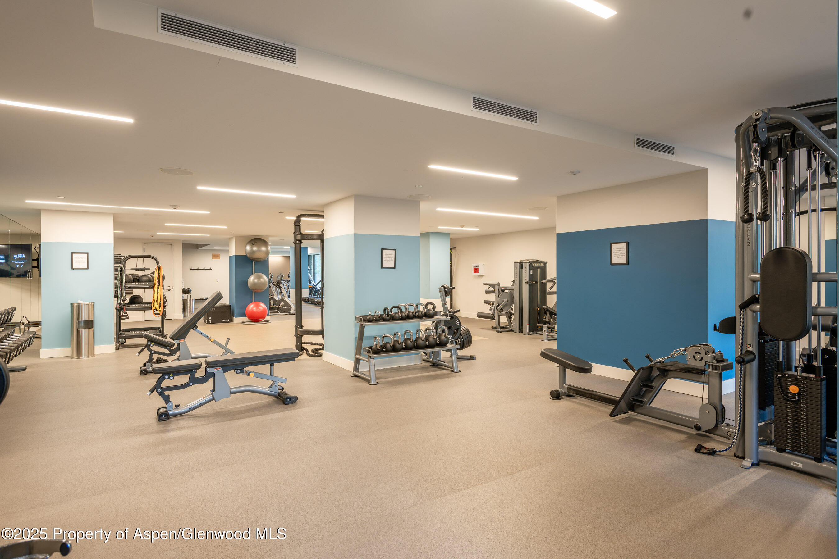 119 Wood Road Snowmass Village CO 81615