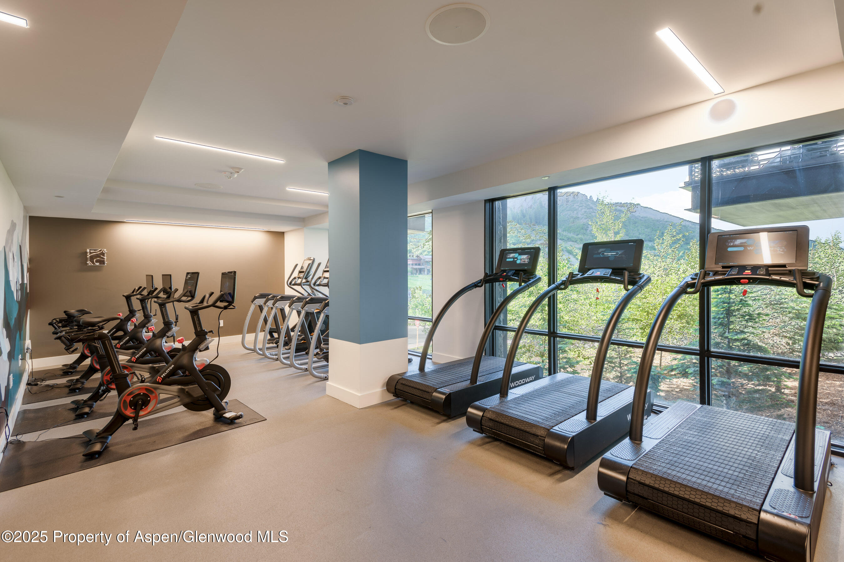 119 Wood Road Snowmass Village CO 81615