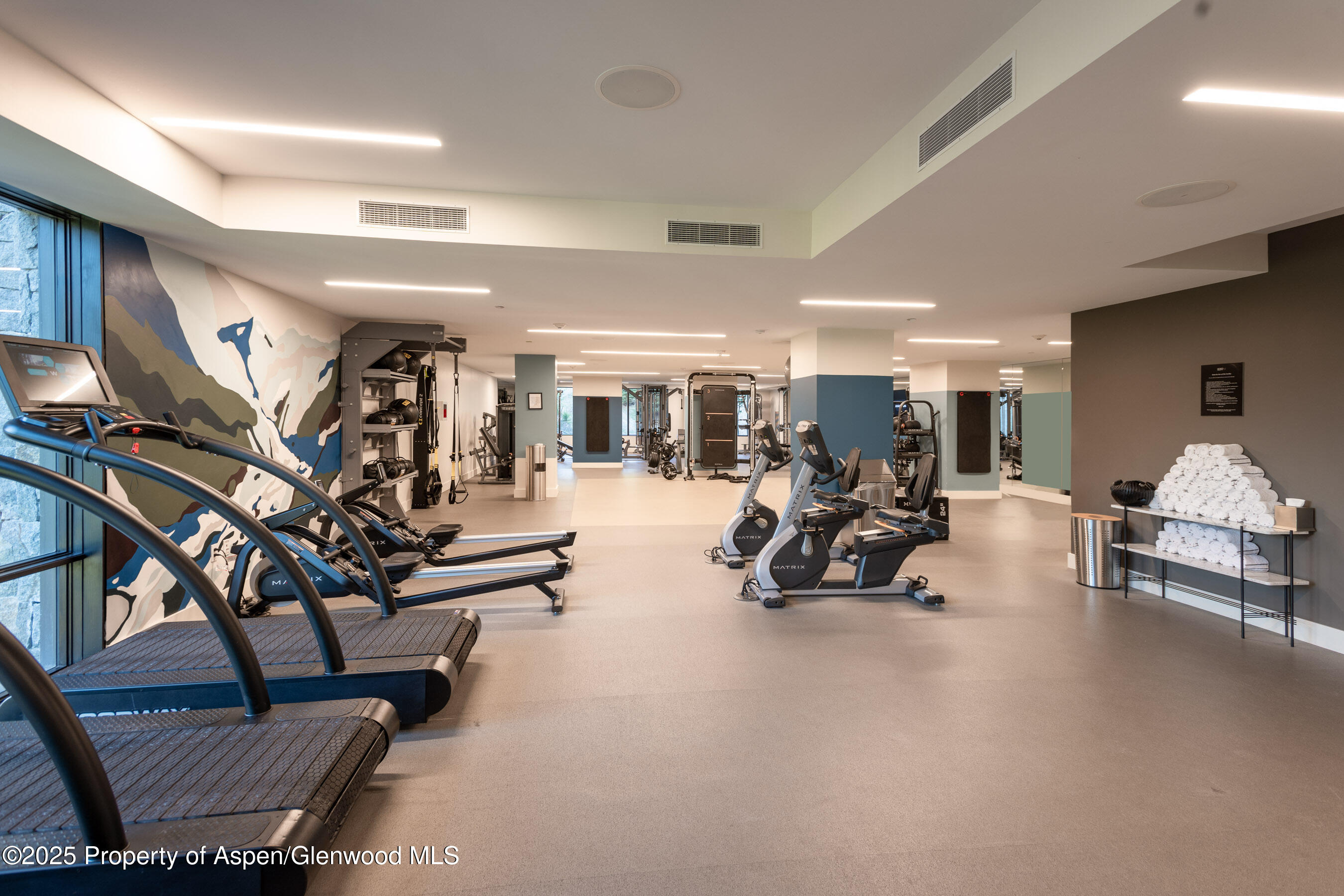 119 Wood Road Snowmass Village CO 81615