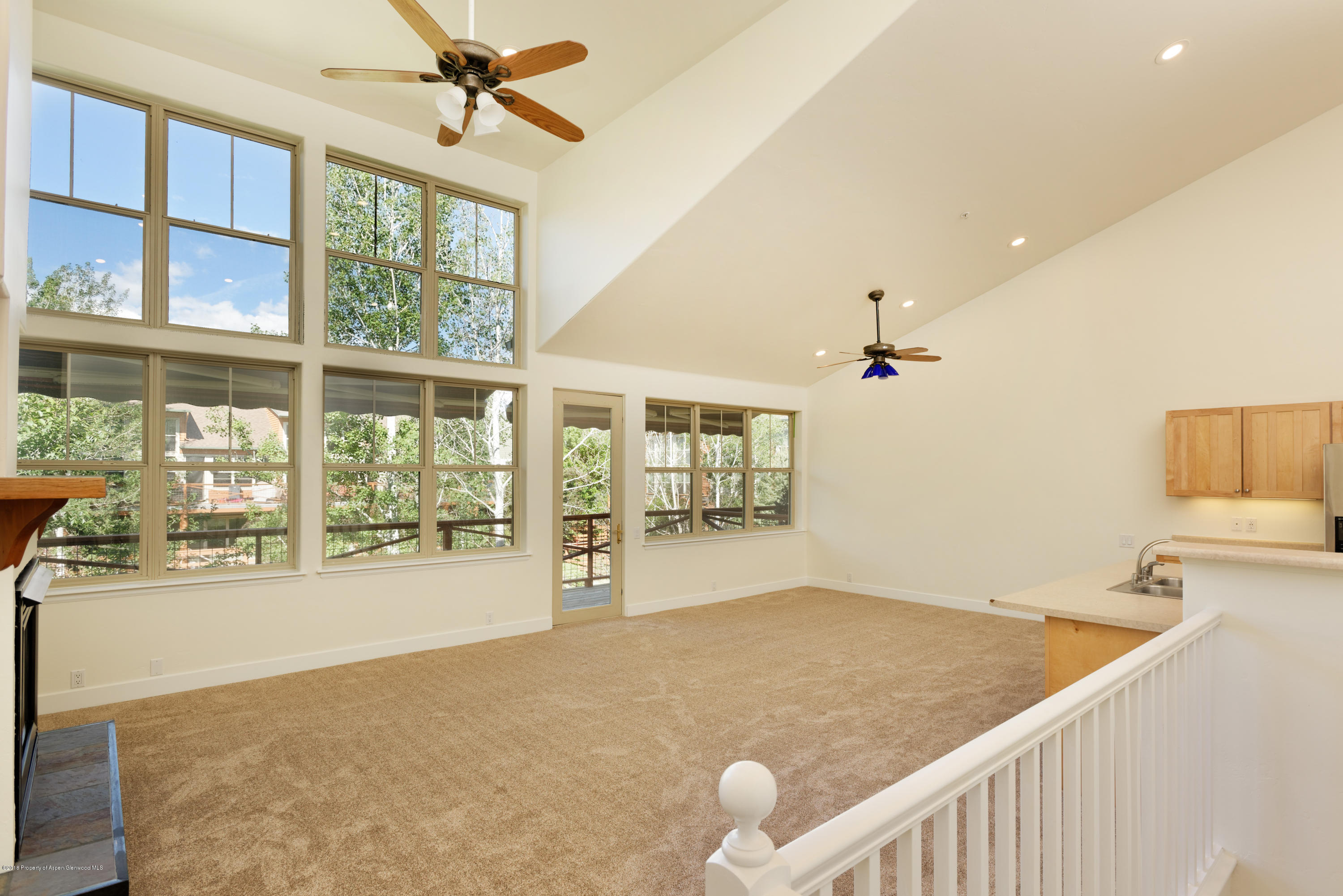 544 Evans Court Basalt CO 81621