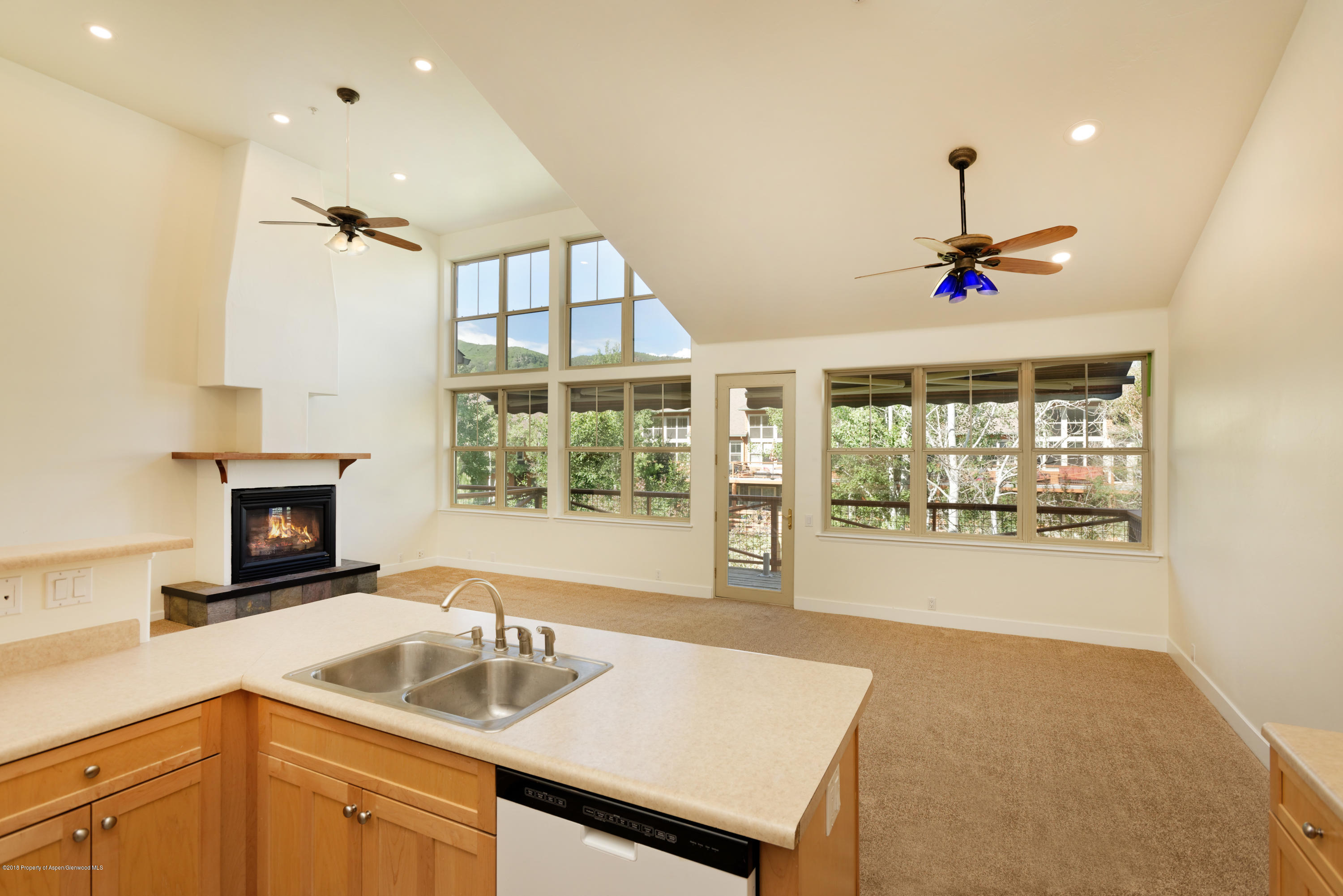 544 Evans Court Basalt CO 81621