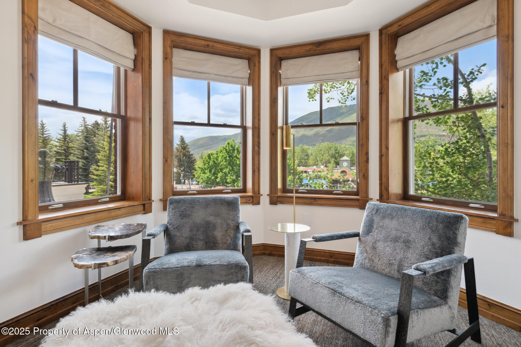 415 E Dean St., Unit 15, Week 33 Aspen CO 81611