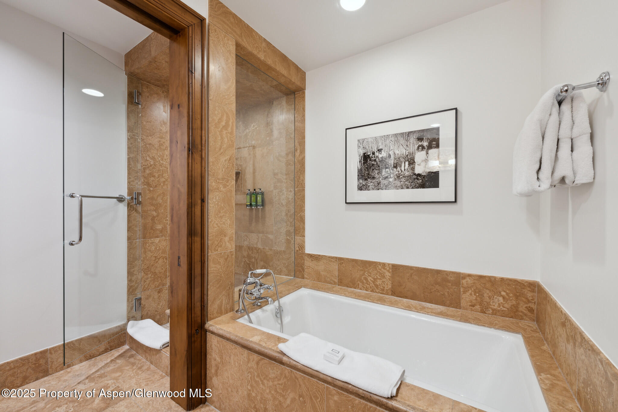 415 E Dean St., Unit 15, Week 33 Aspen CO 81611