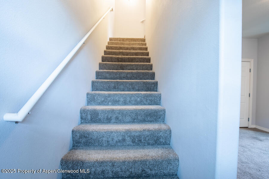 1112 Windsor Park Drive Fruita CO 81521