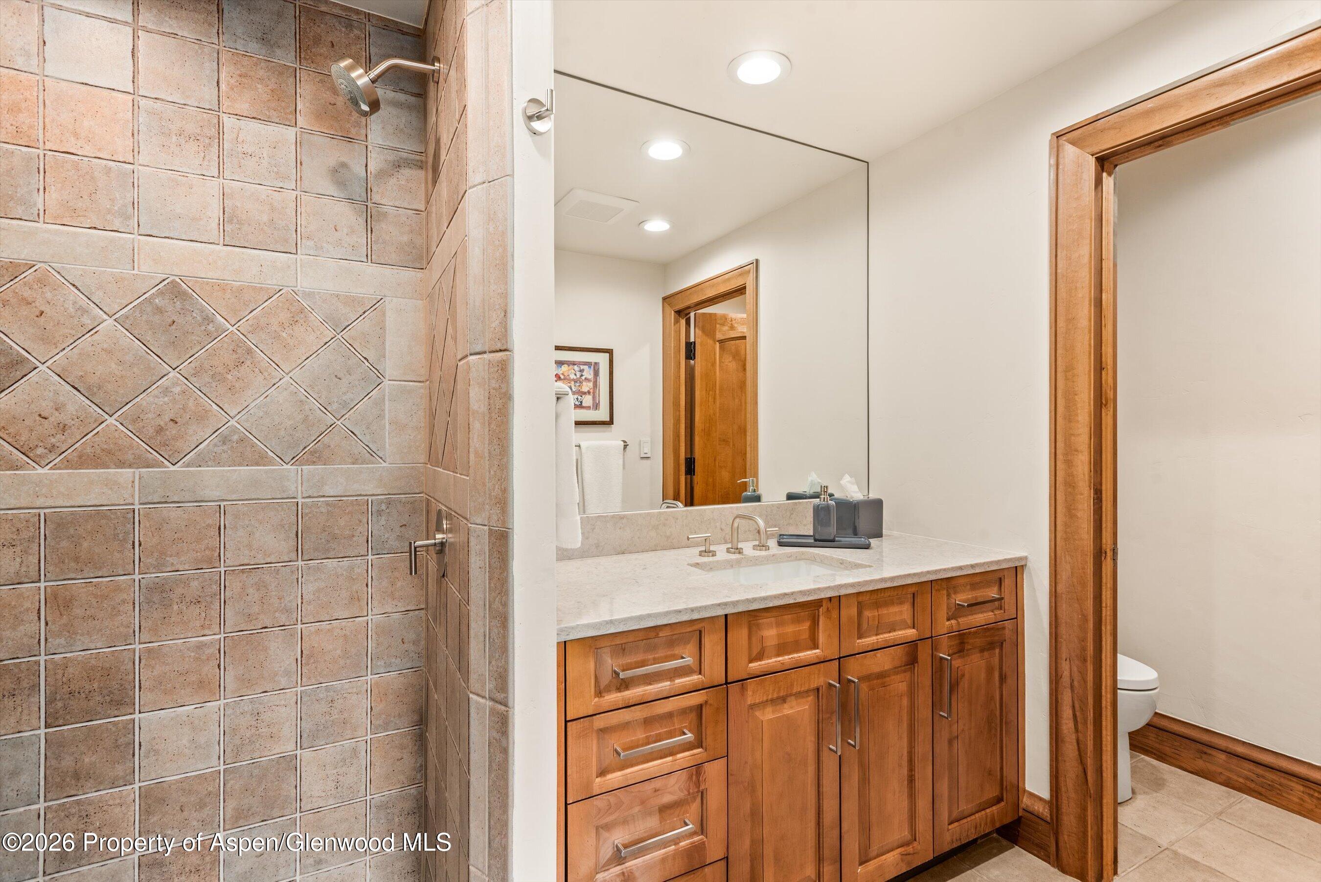 711 Burnt Mountain Drive Snowmass Village CO 81615