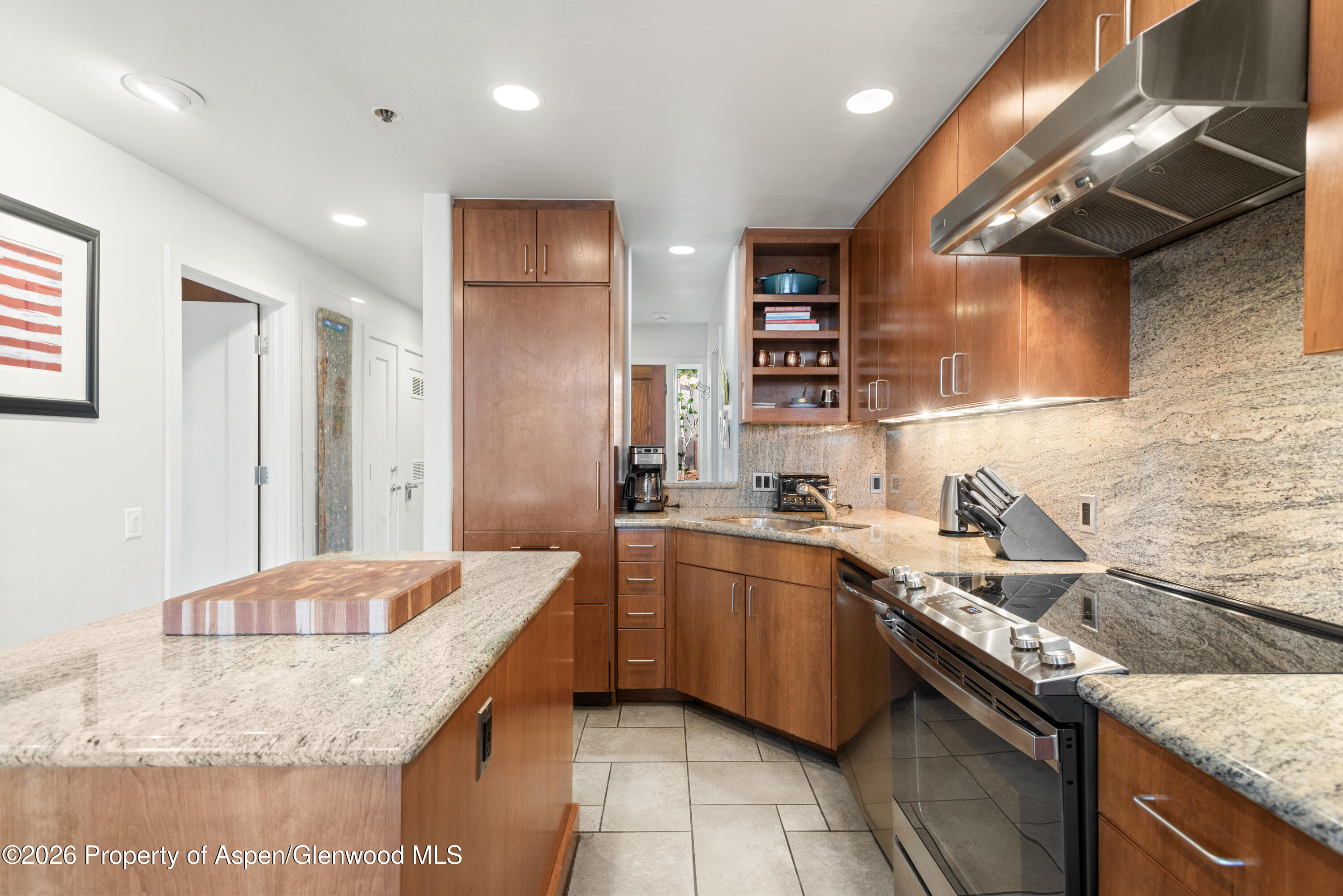 610 S West End Street Aspen CO 81611