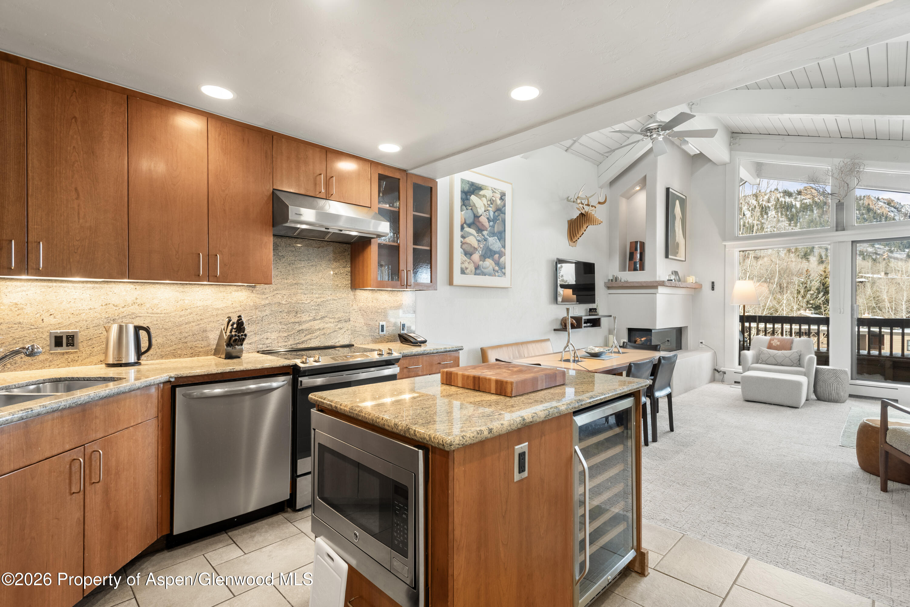 610 S West End Street Aspen CO 81611