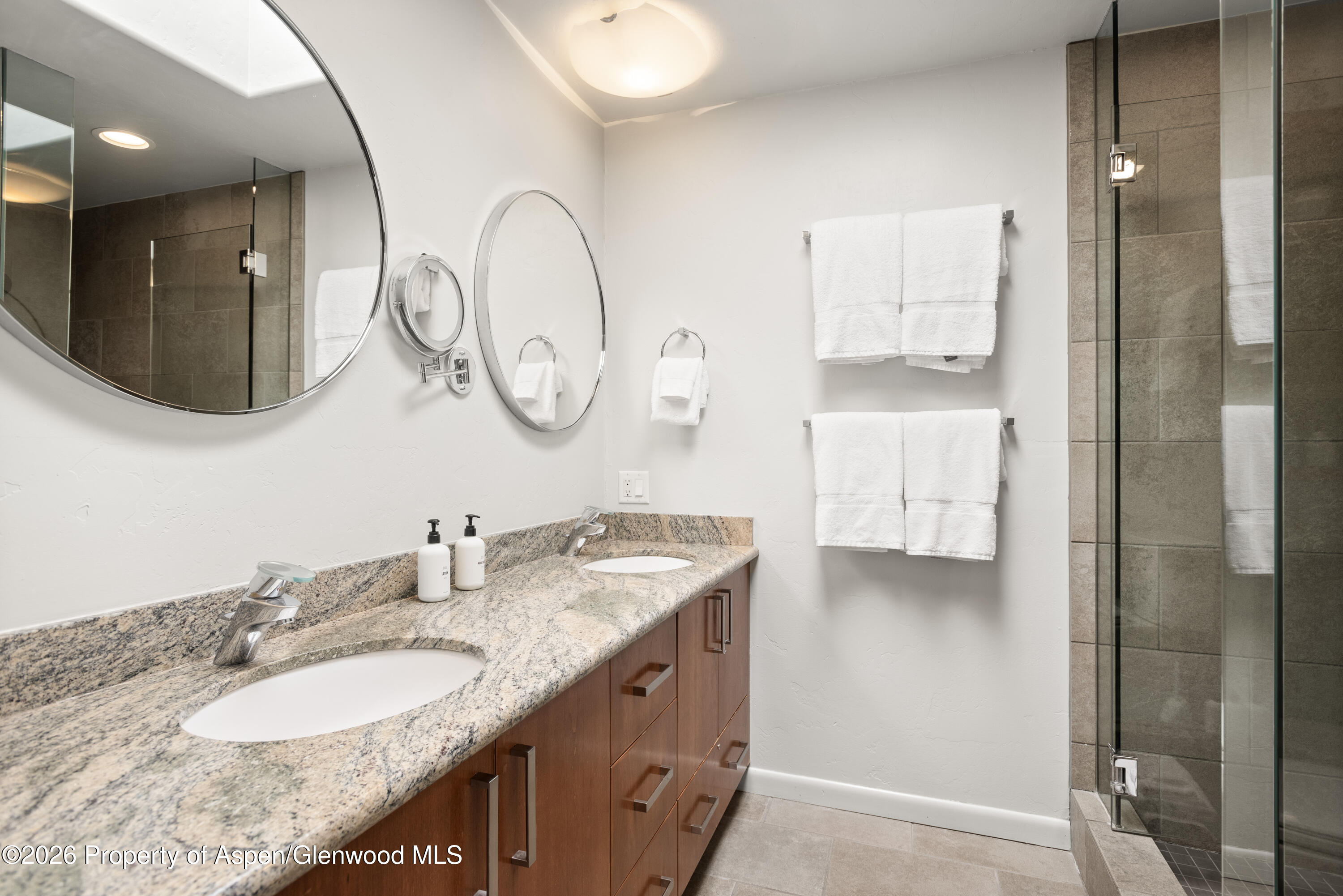 610 S West End Street Aspen CO 81611