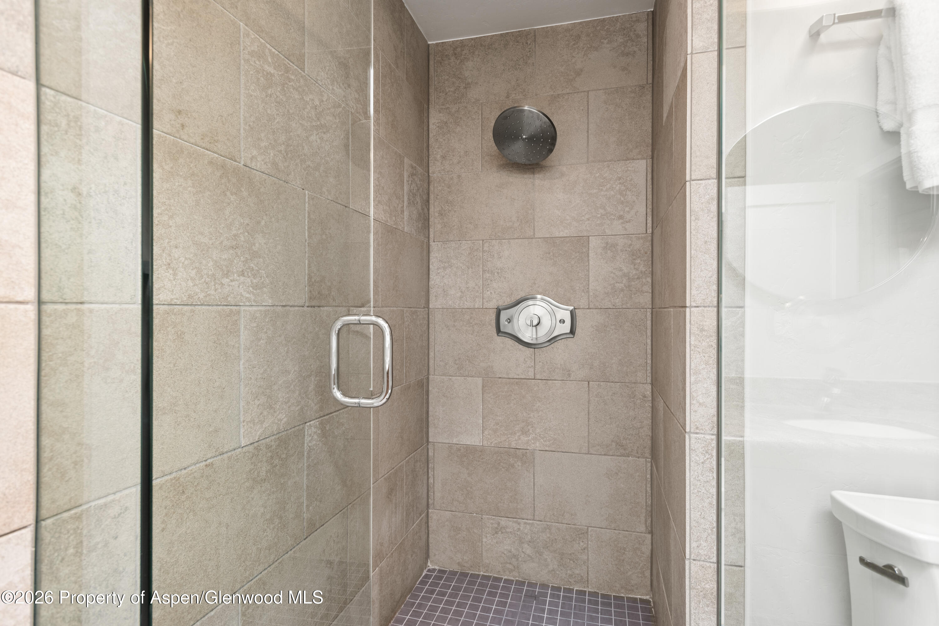 610 S West End Street Aspen CO 81611