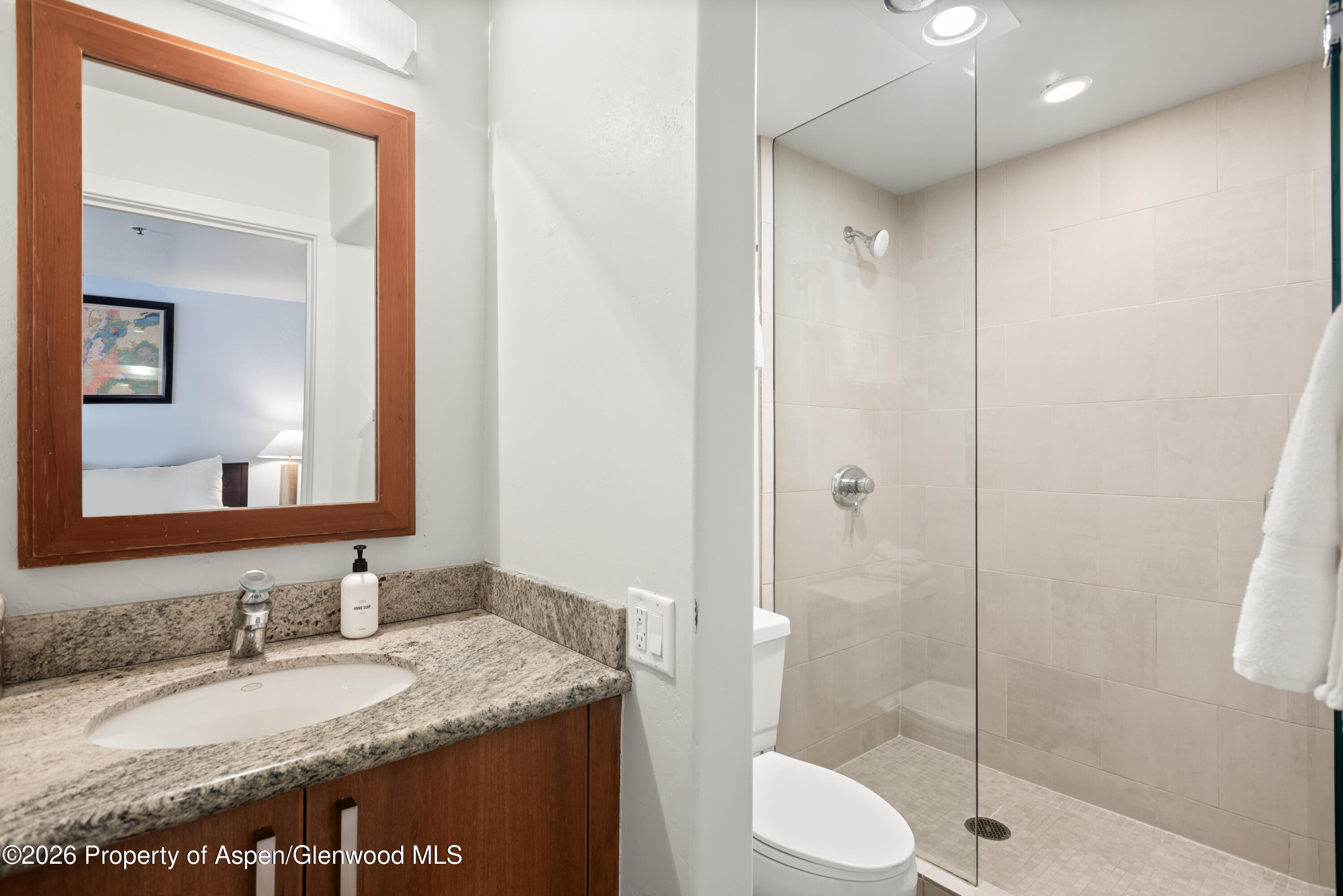 610 S West End Street Aspen CO 81611