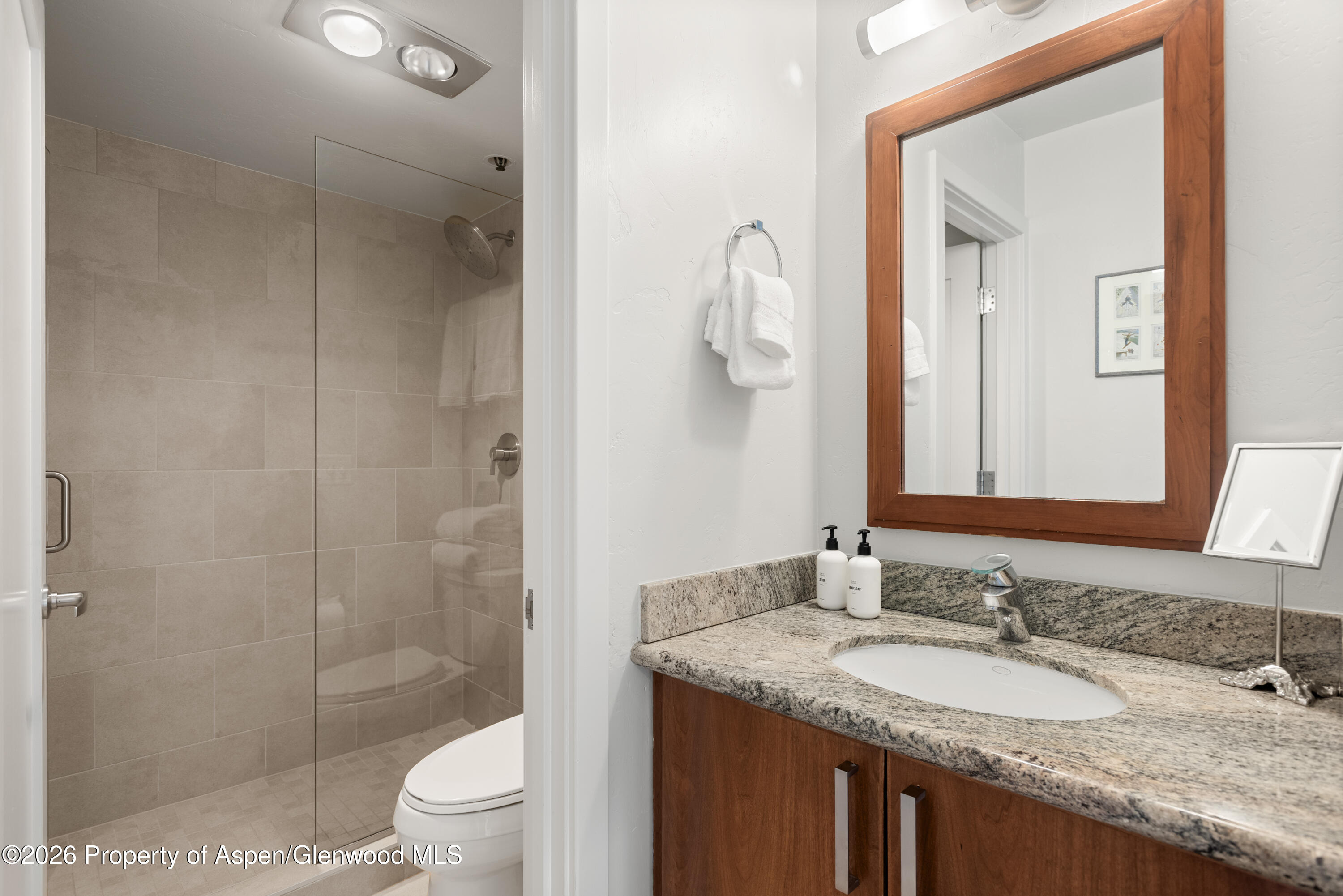 610 S West End Street Aspen CO 81611