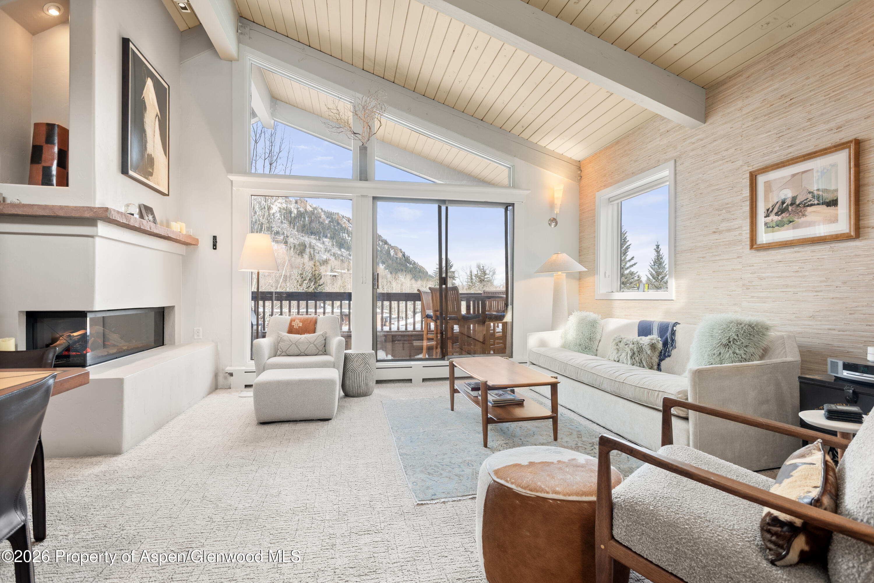 610 S West End Street Aspen CO 81611