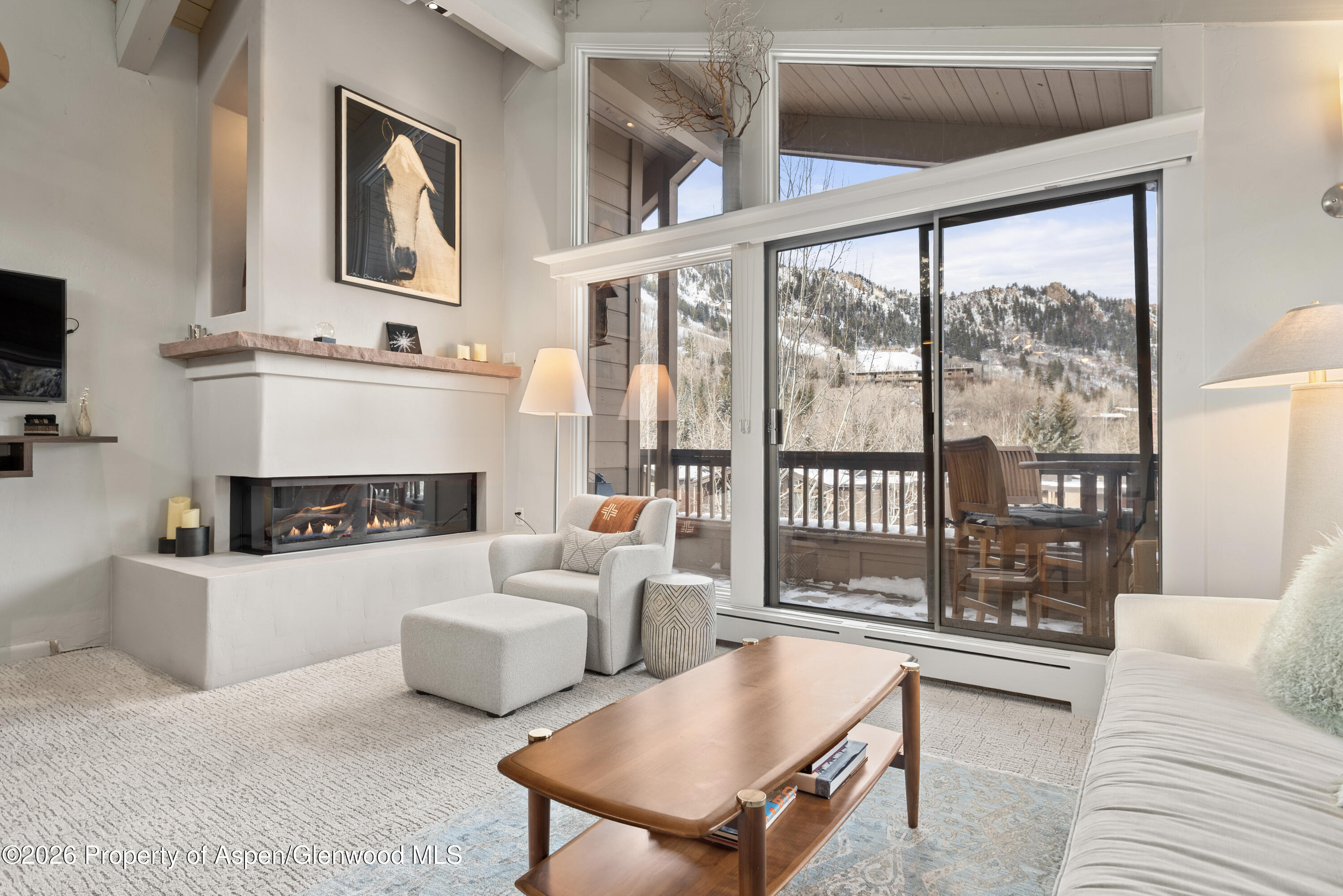 610 S West End Street Aspen CO 81611