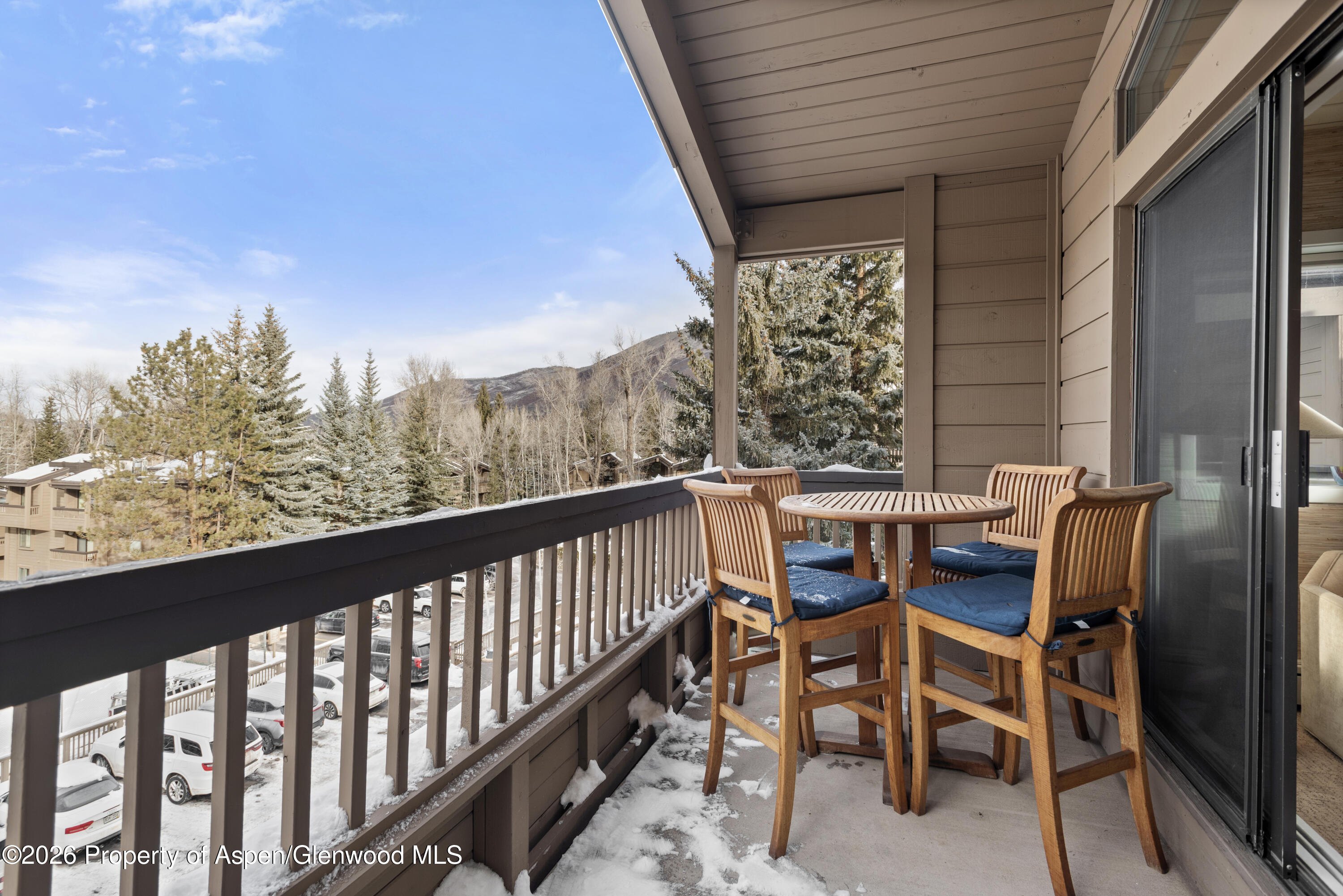 610 S West End Street Aspen CO 81611