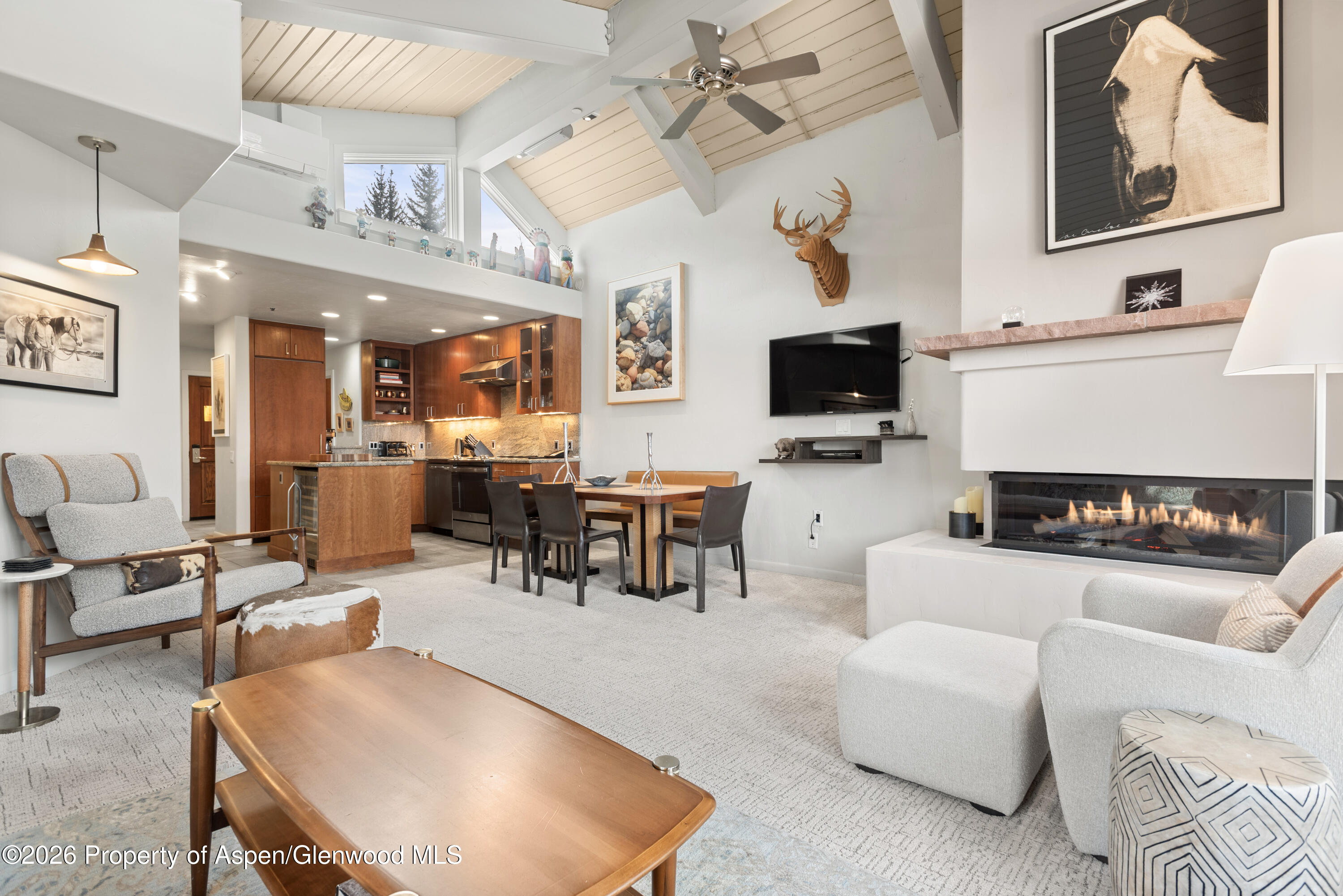 610 S West End Street Aspen CO 81611