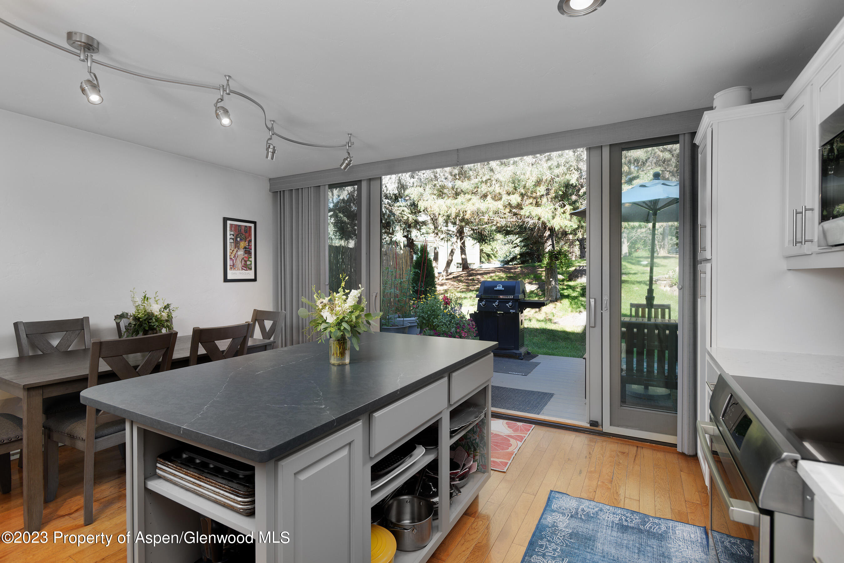 Basalt CO, 805 Pinon Drive, Unit Unit # 11