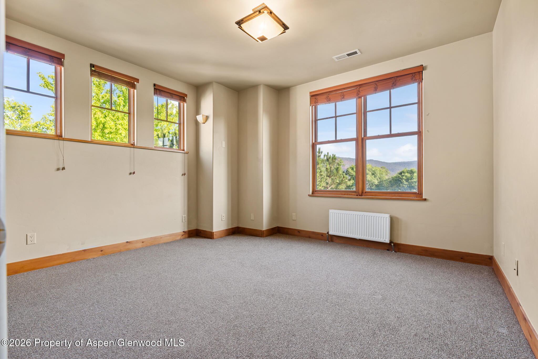 1032 Colorado Avenue Carbondale CO 81623