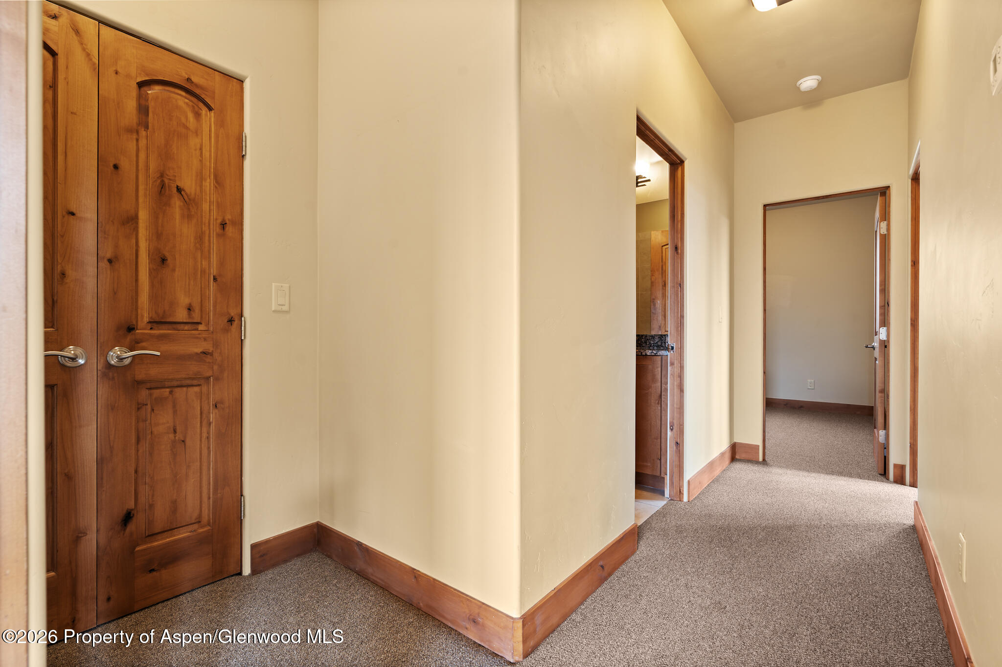 1032 Colorado Avenue Carbondale CO 81623