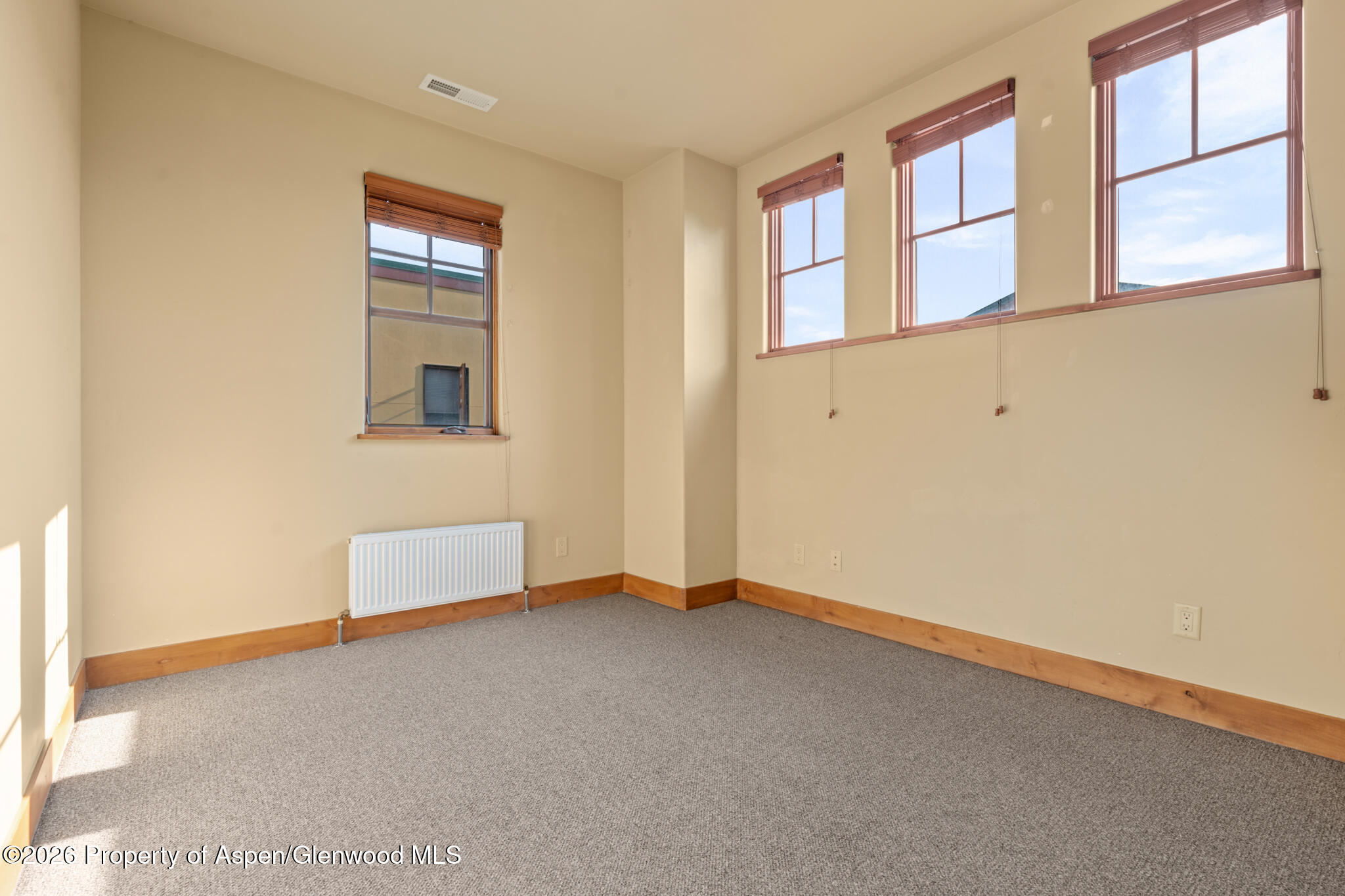 1032 Colorado Avenue Carbondale CO 81623