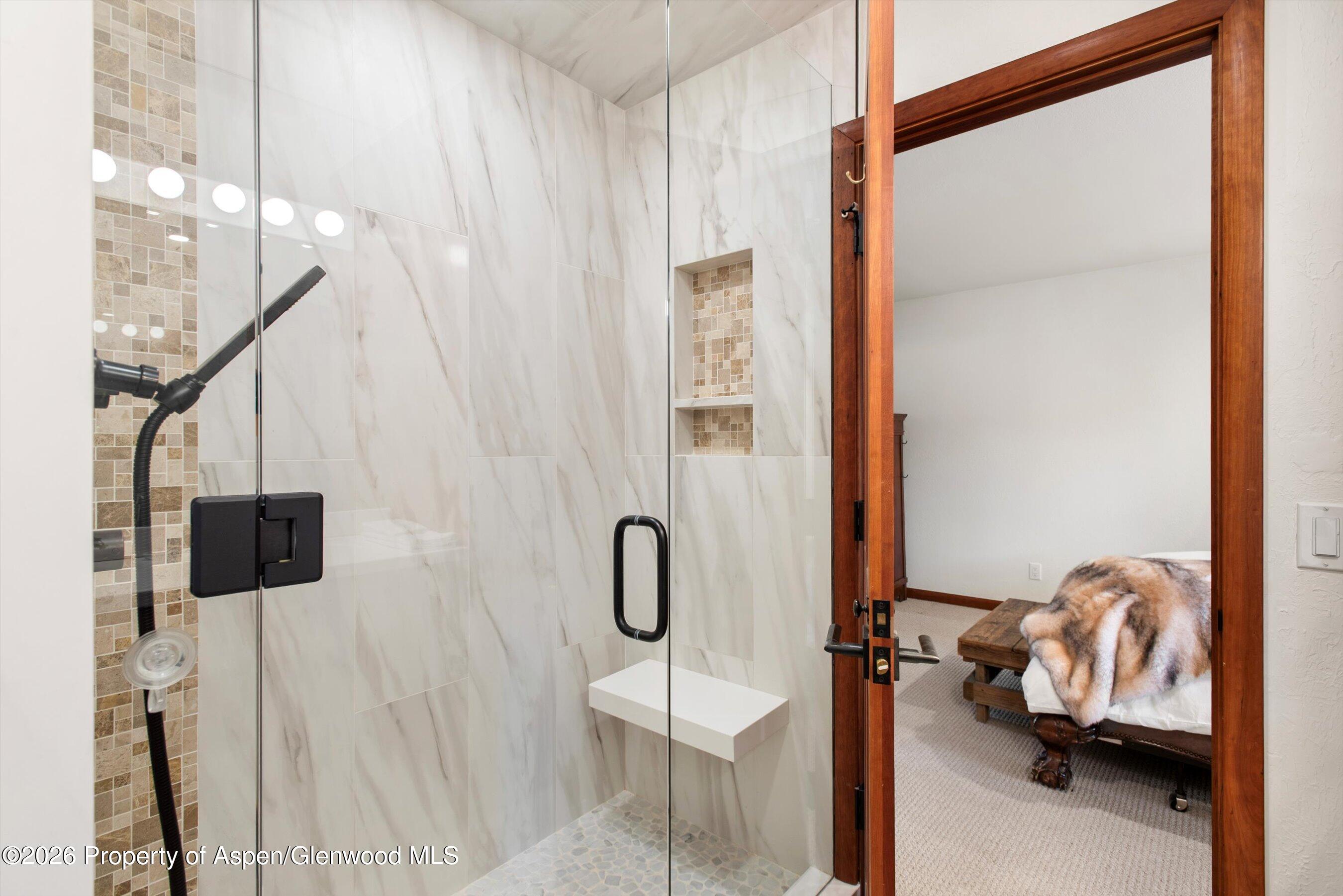 814 W Bleeker Street Aspen CO 81611