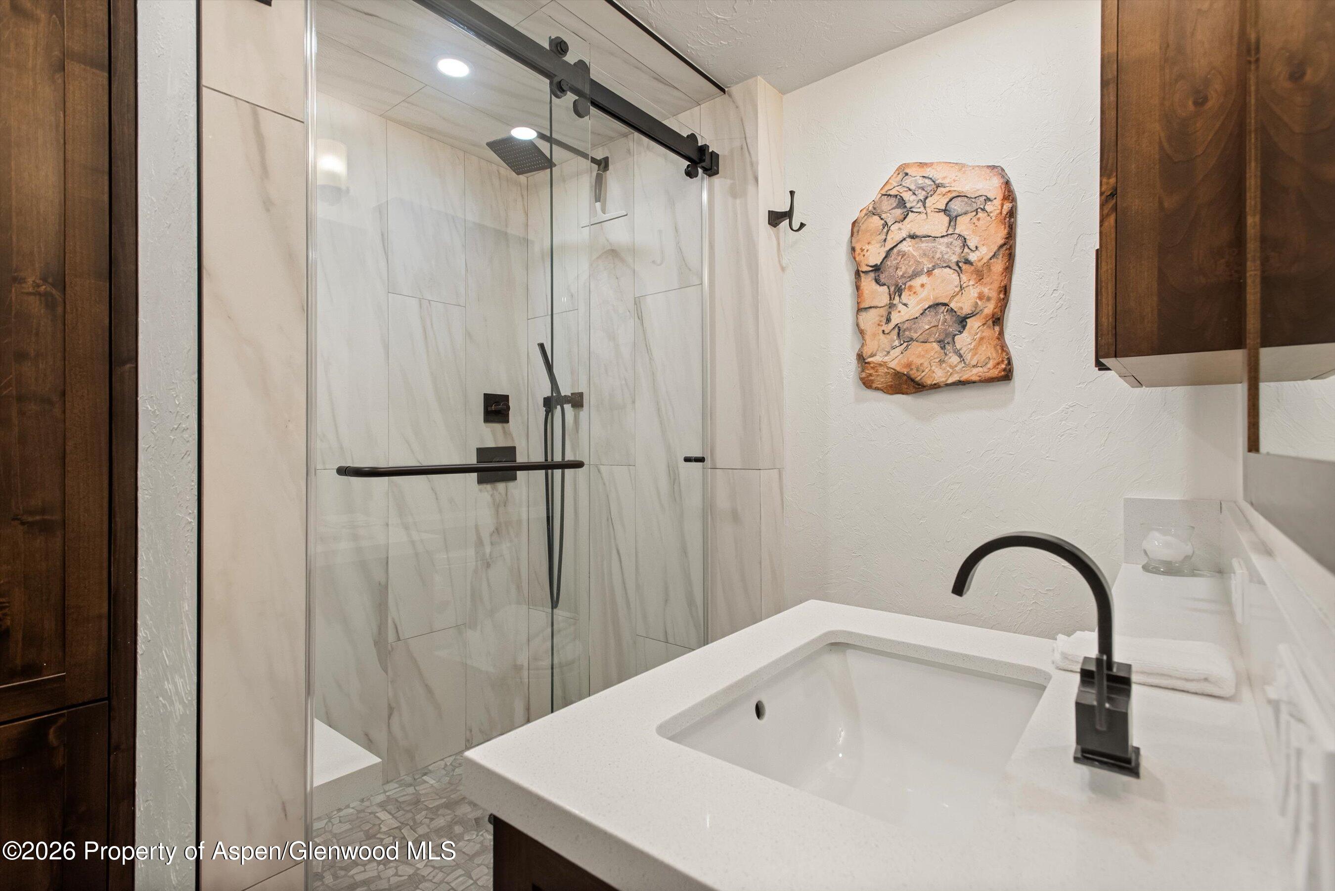 814 W Bleeker Street Aspen CO 81611