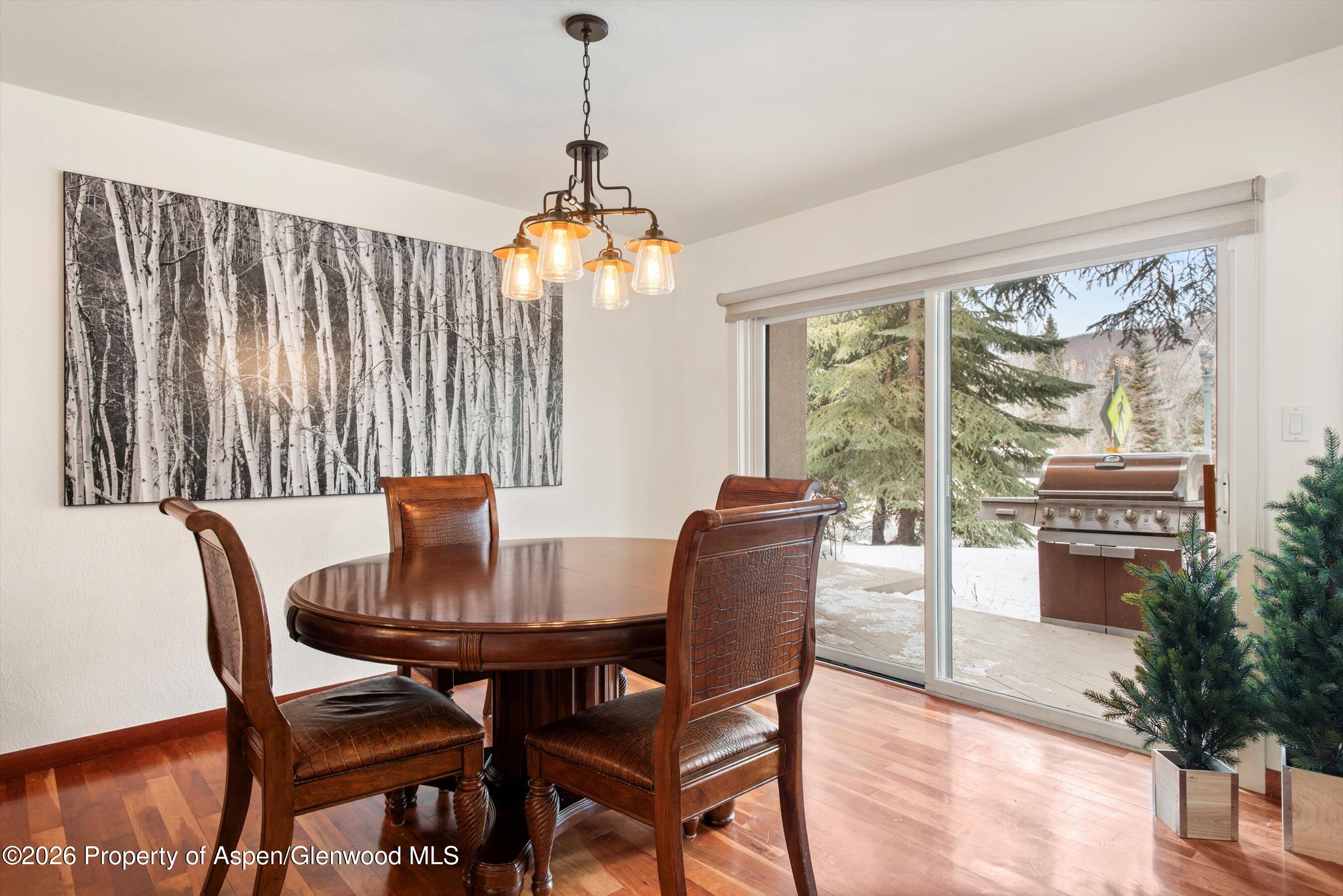 814 W Bleeker Street Aspen CO 81611